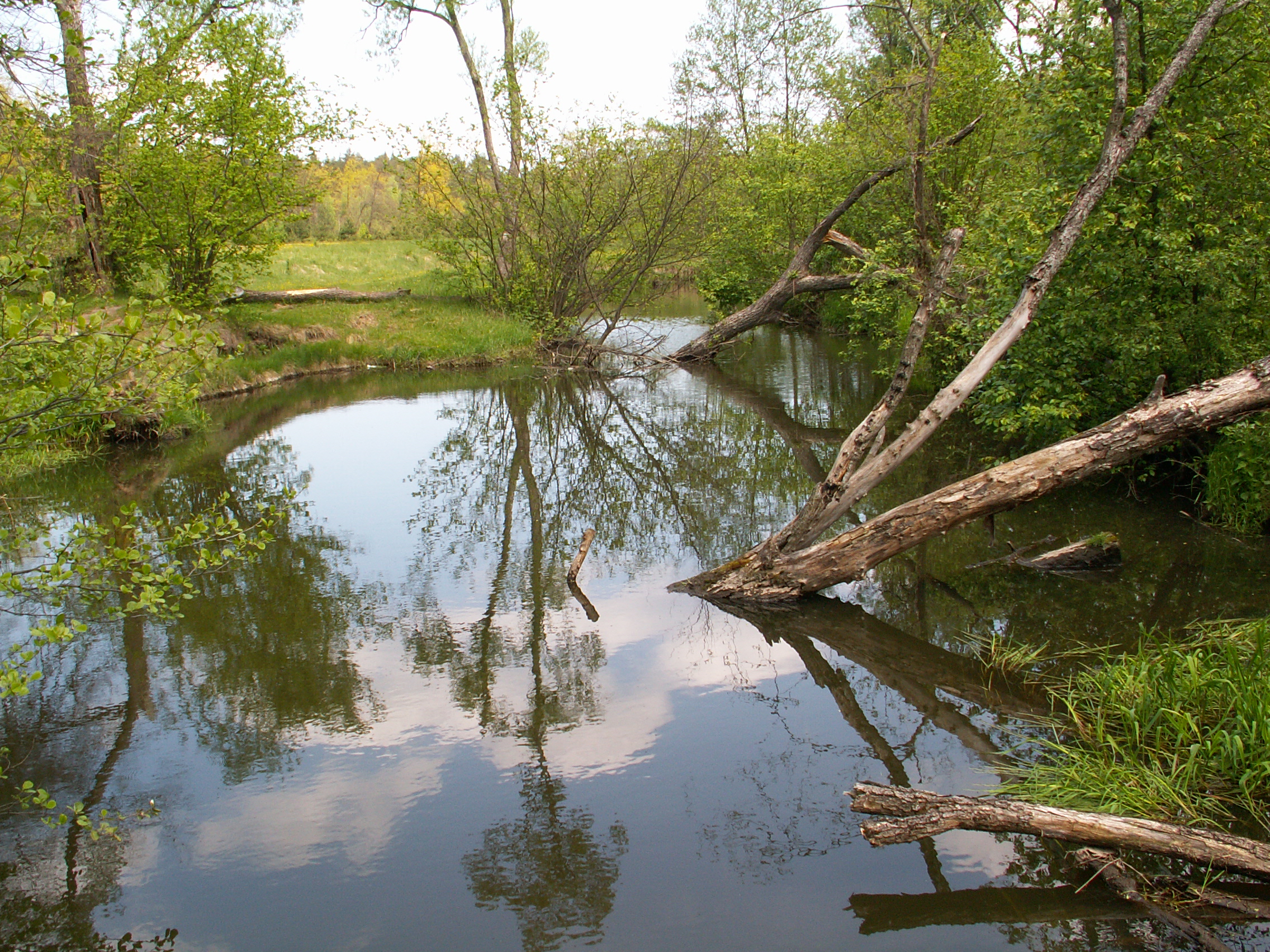 Suchedniów photo 2