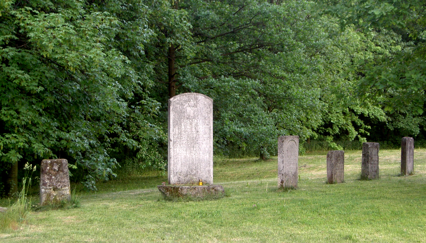 Tarnogród photo 4