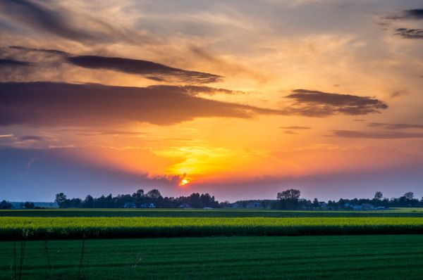 Sokołów Podlaski photo 4