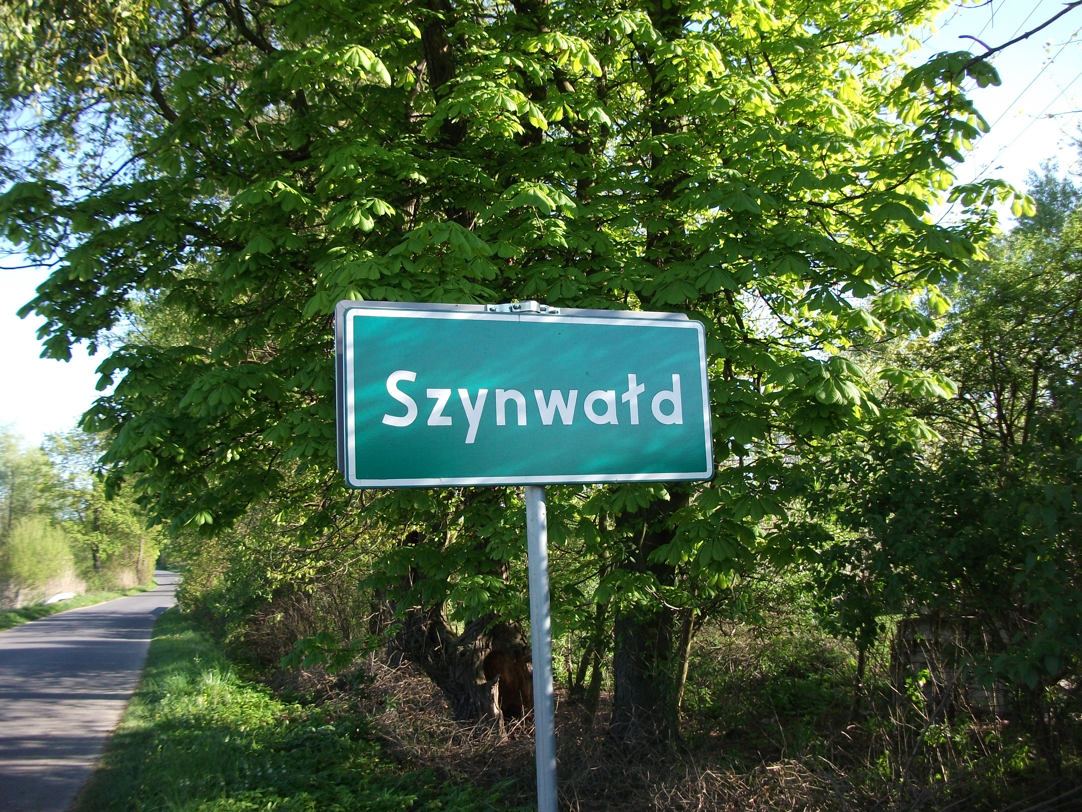 Szynwałd photo 3