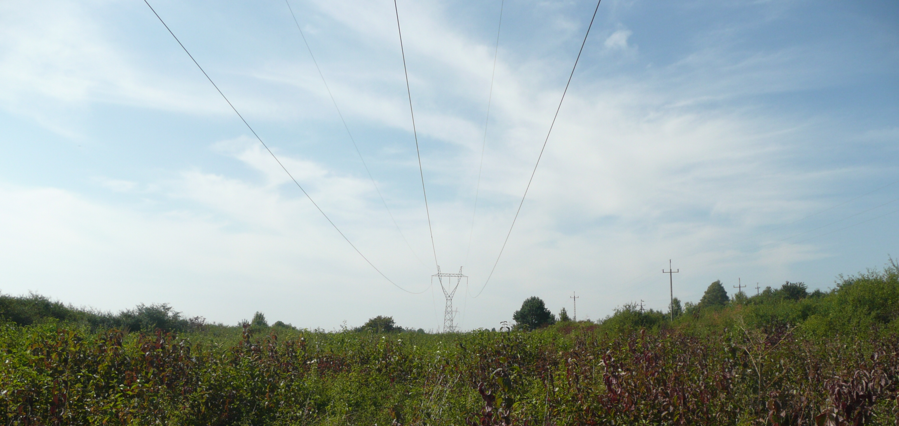 Piekoszów photo 2