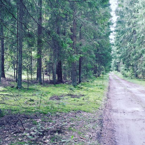 Węgorzewo photo 3