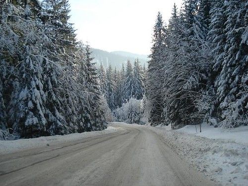 Polana, Subcarpathia