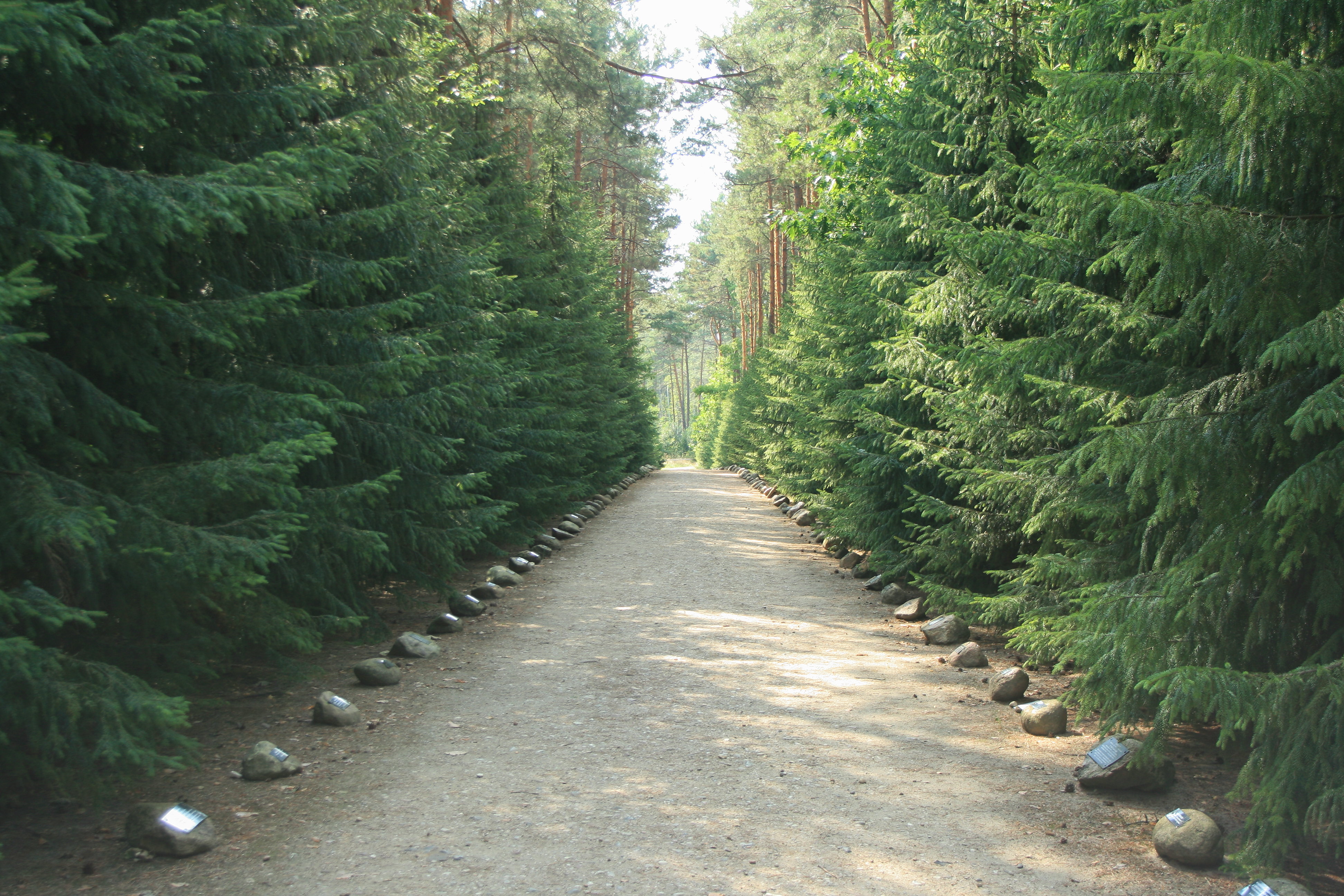 Włodawa photo 2