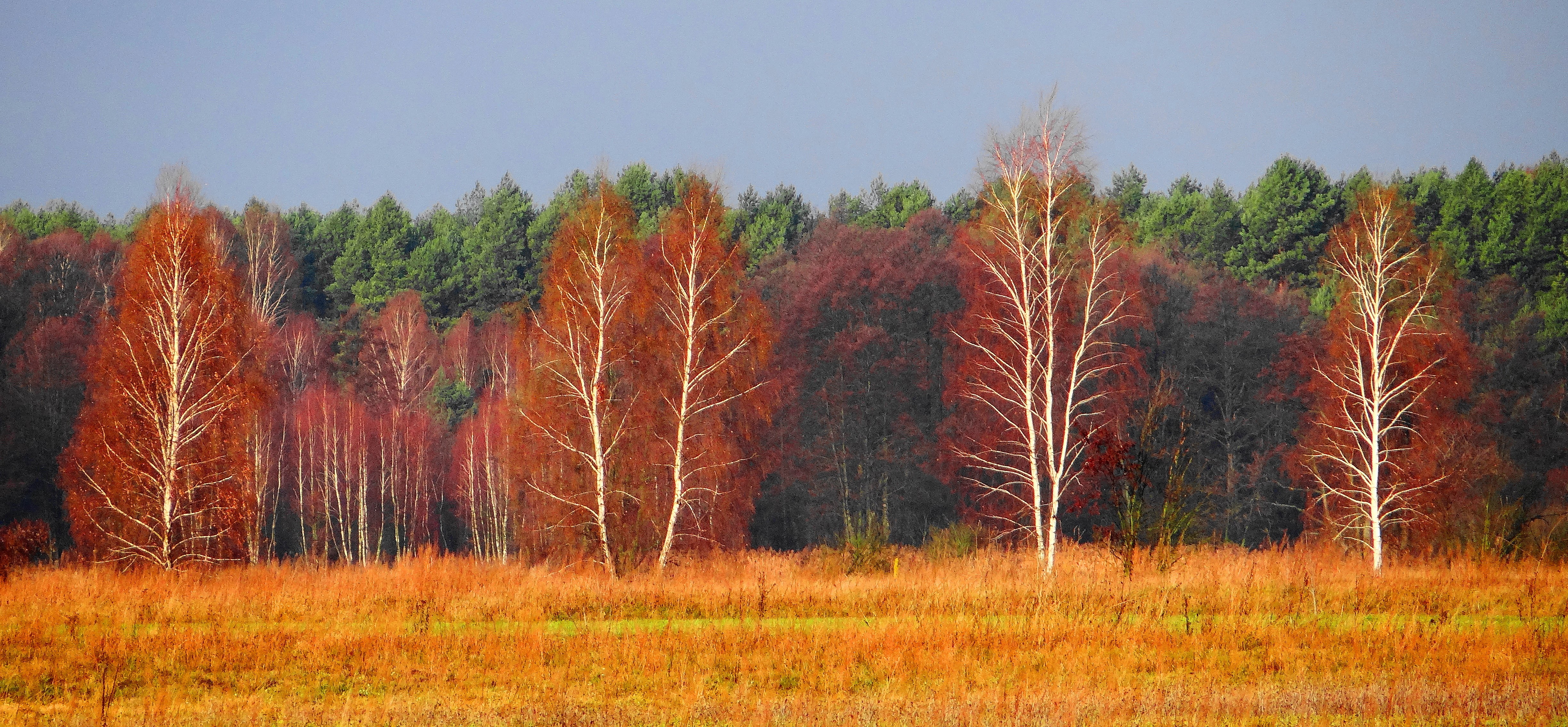 Stoczek Łukowski photo 4