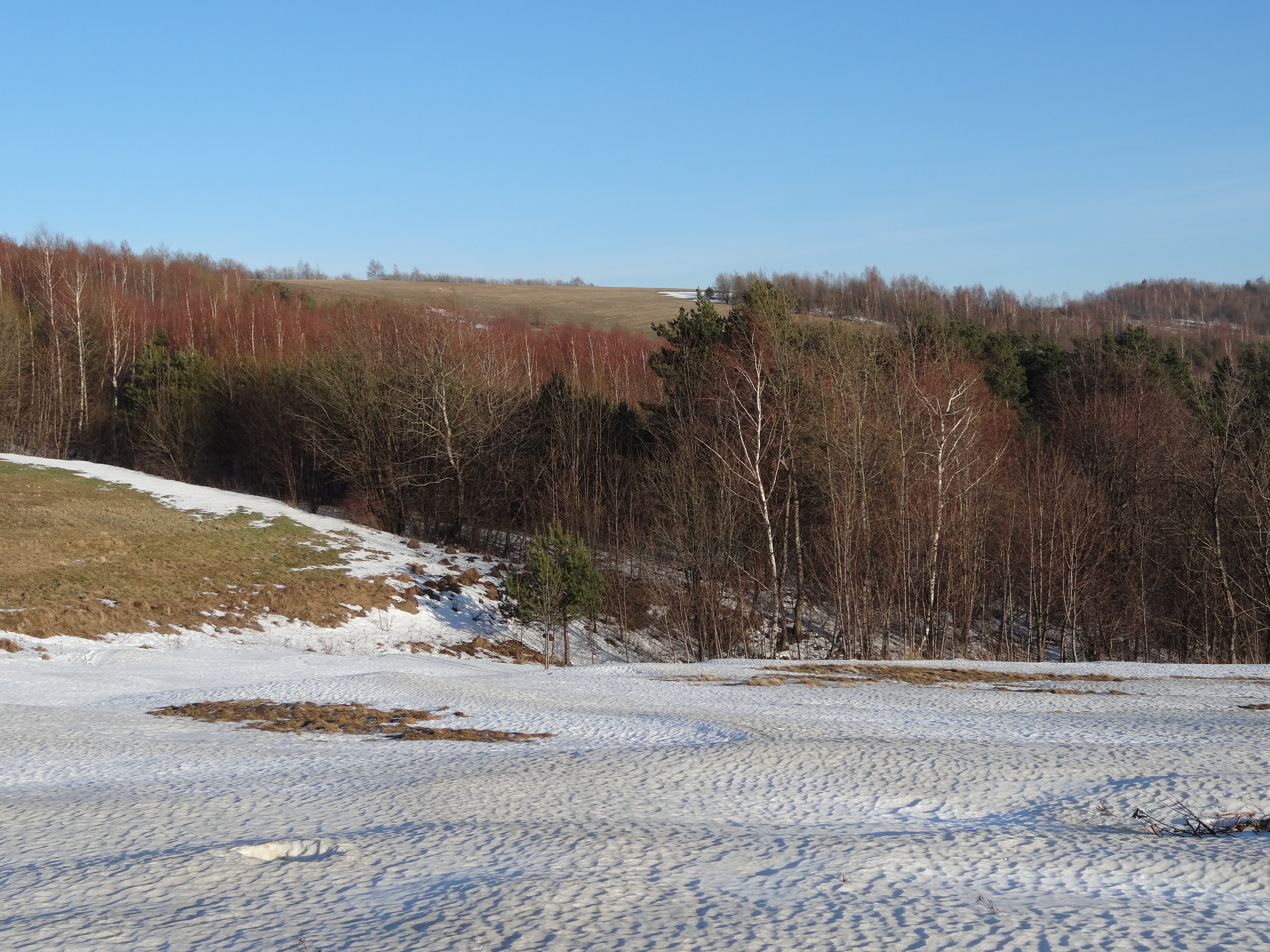 Rymanów photo 3