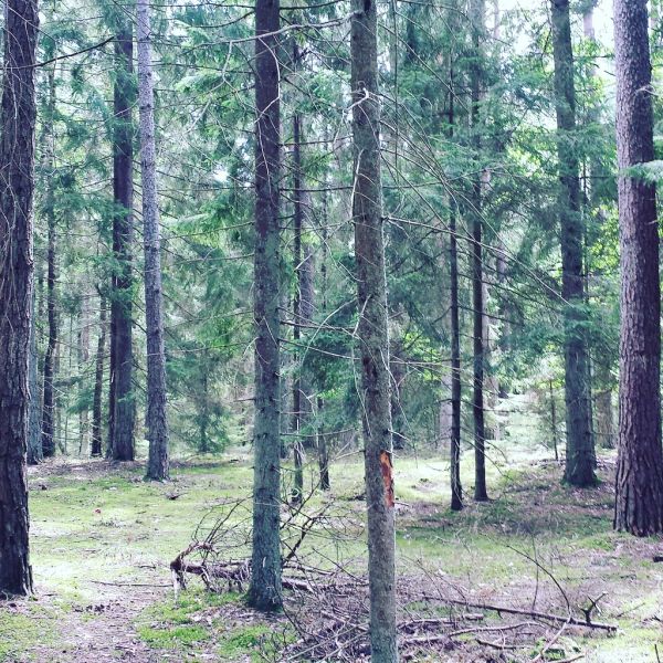 Węgorzewo, Warmia-Masuria