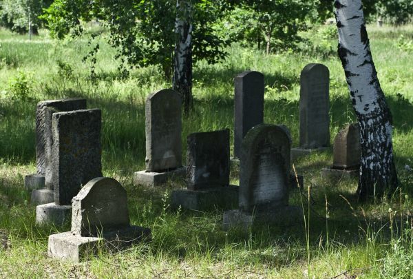 Żołynia photo 4