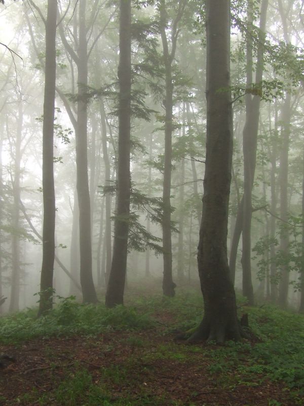 Wołosań, Subcarpathia