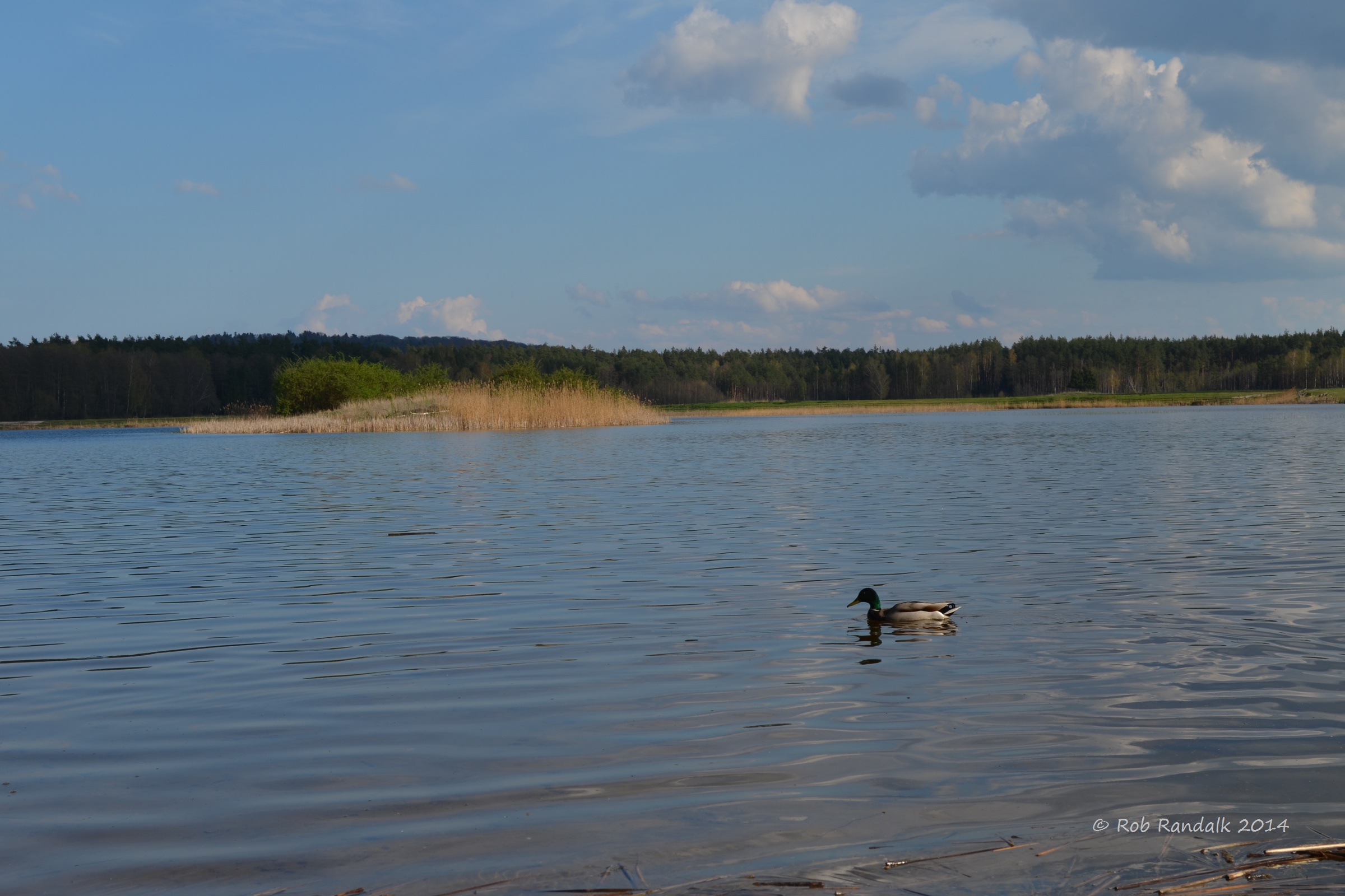 Zwierzyniec photo 4