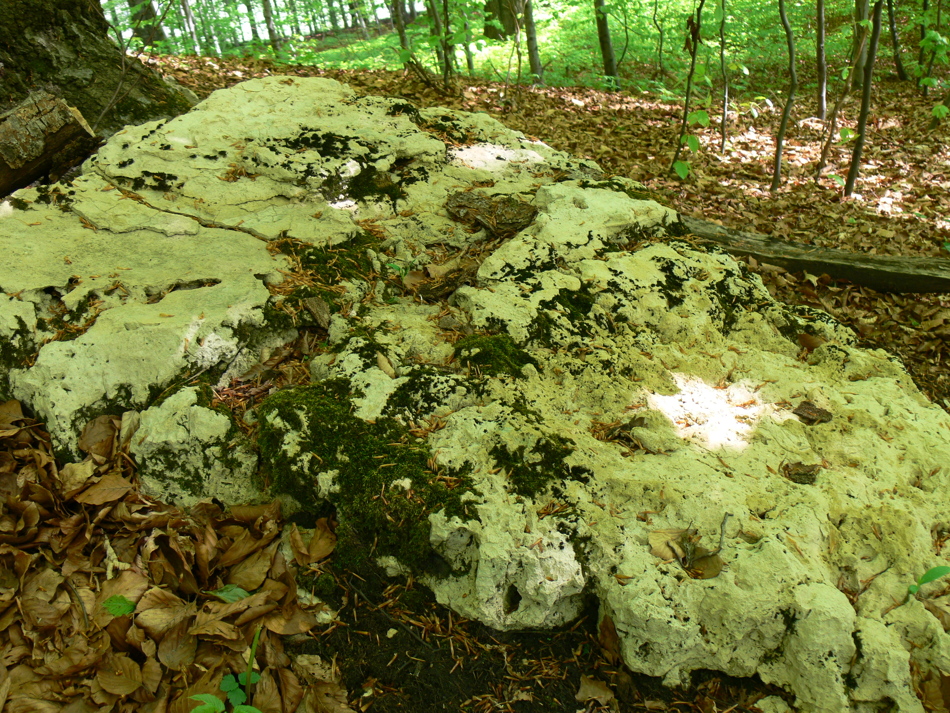 Ostra Góra photo 4