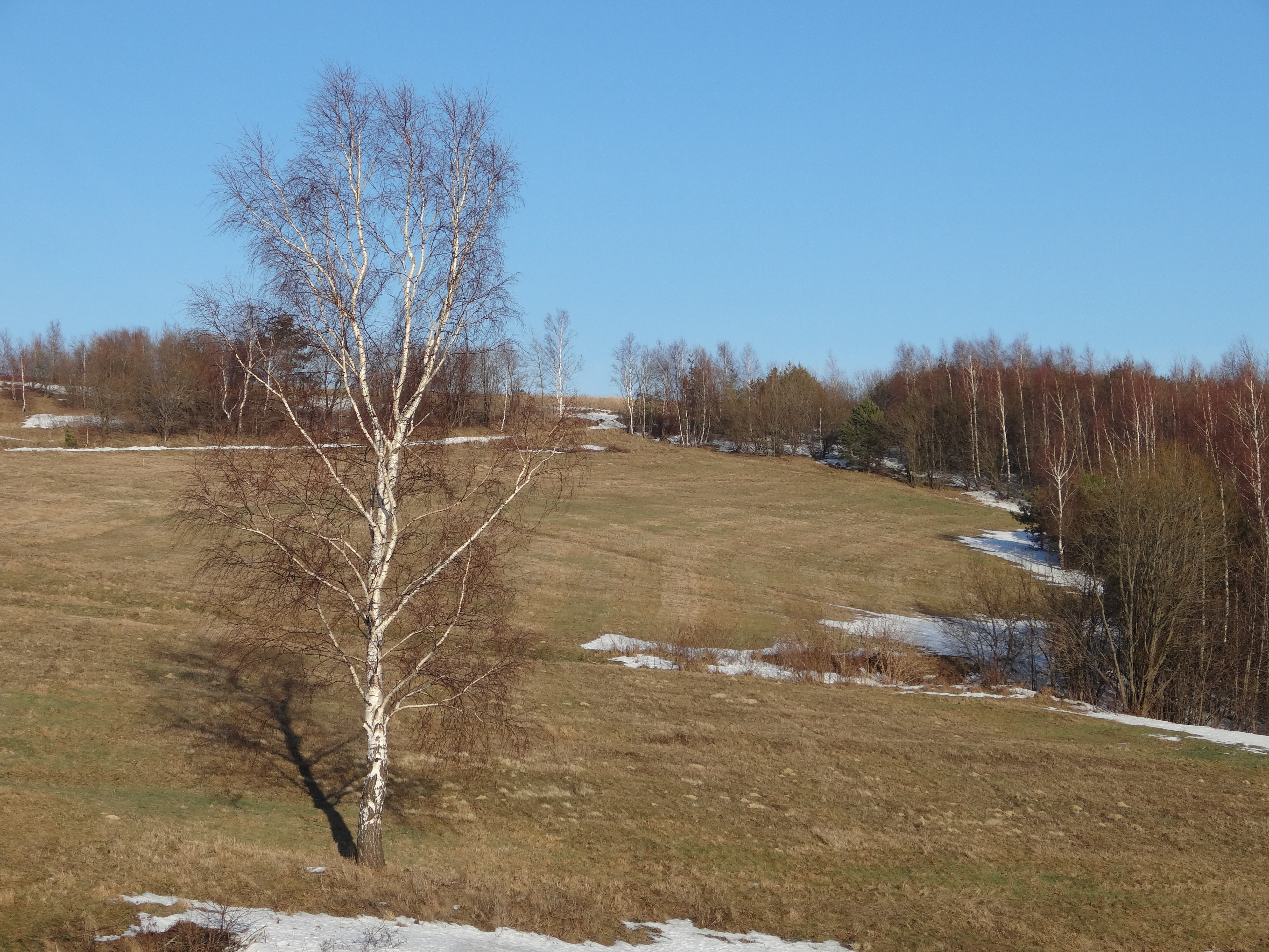Rymanów, Subcarpathia