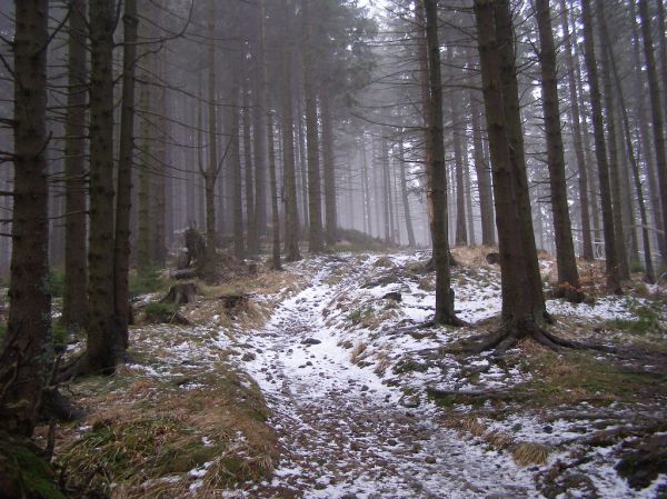 Rytro, Lesser Poland