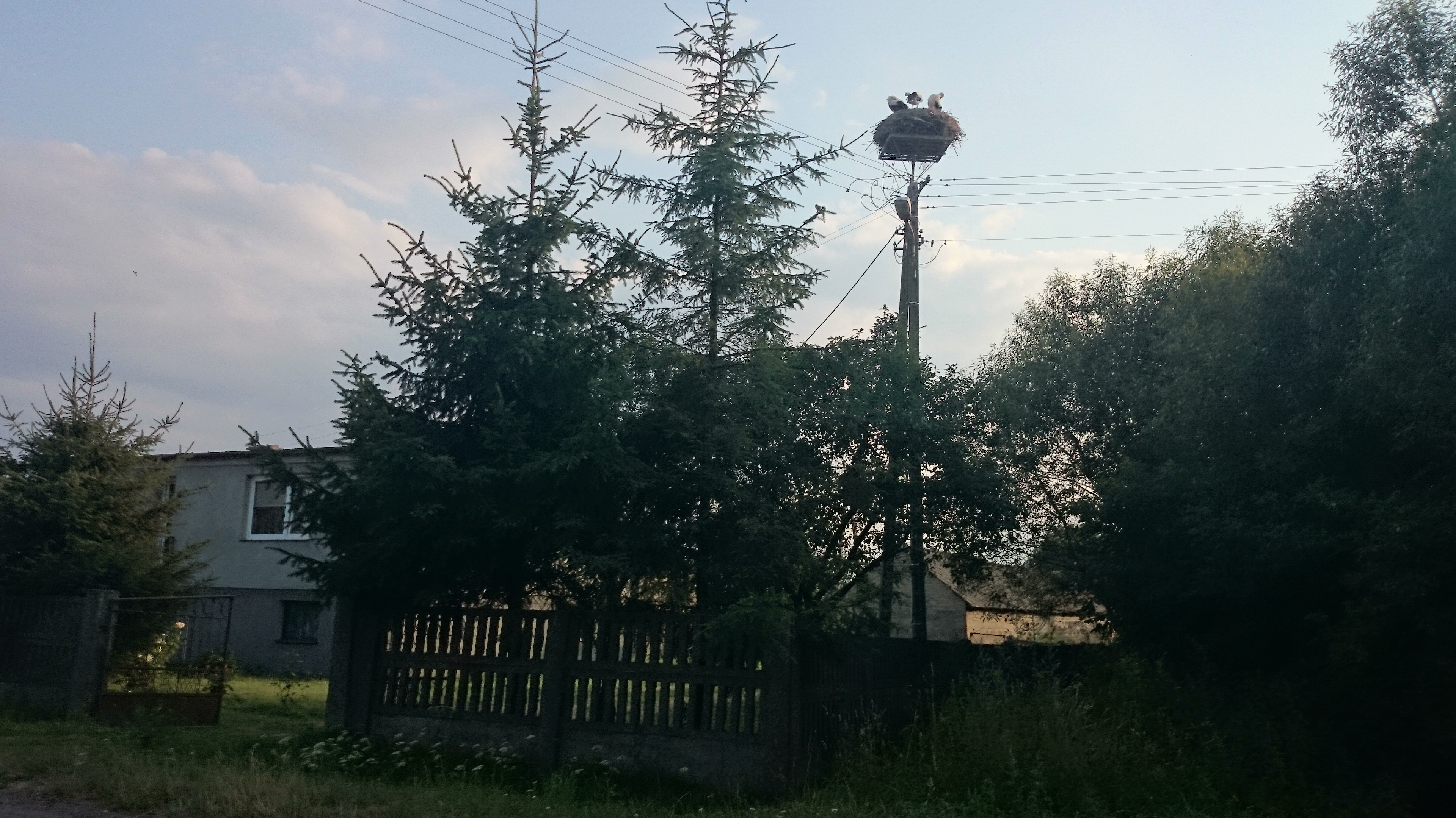 Raciąż photo 3