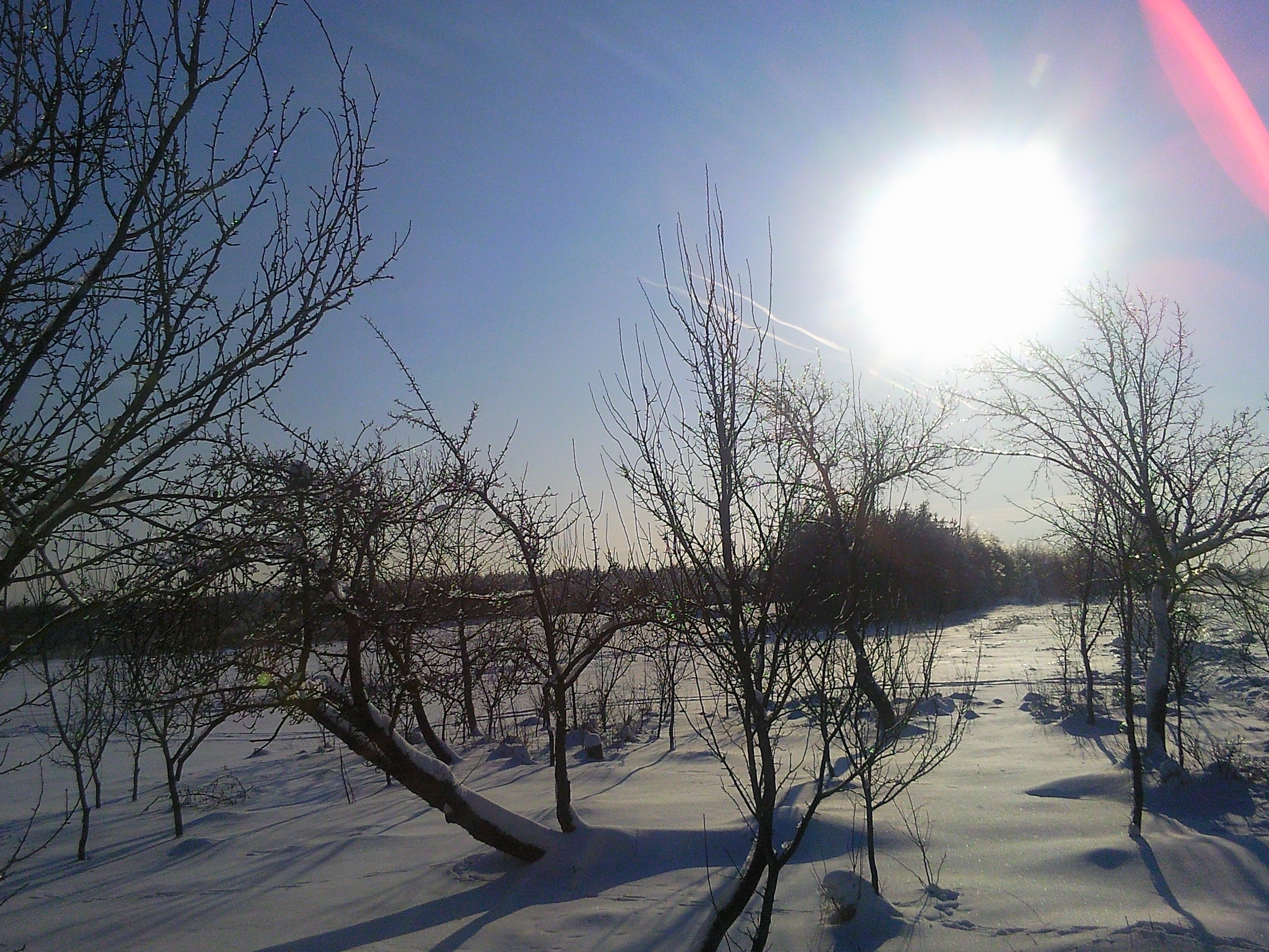 Staszów photo 3