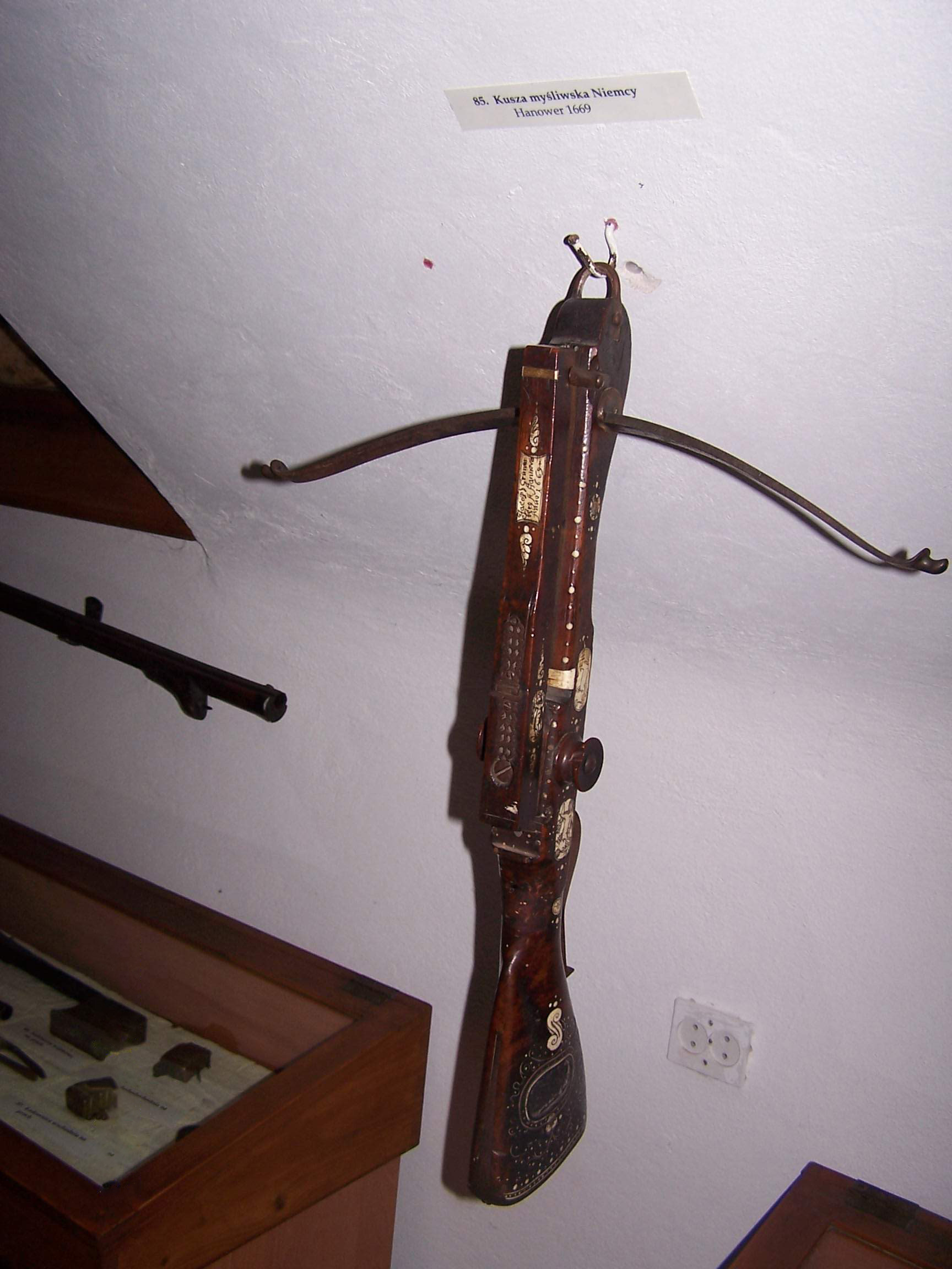 Piotrus photo 2