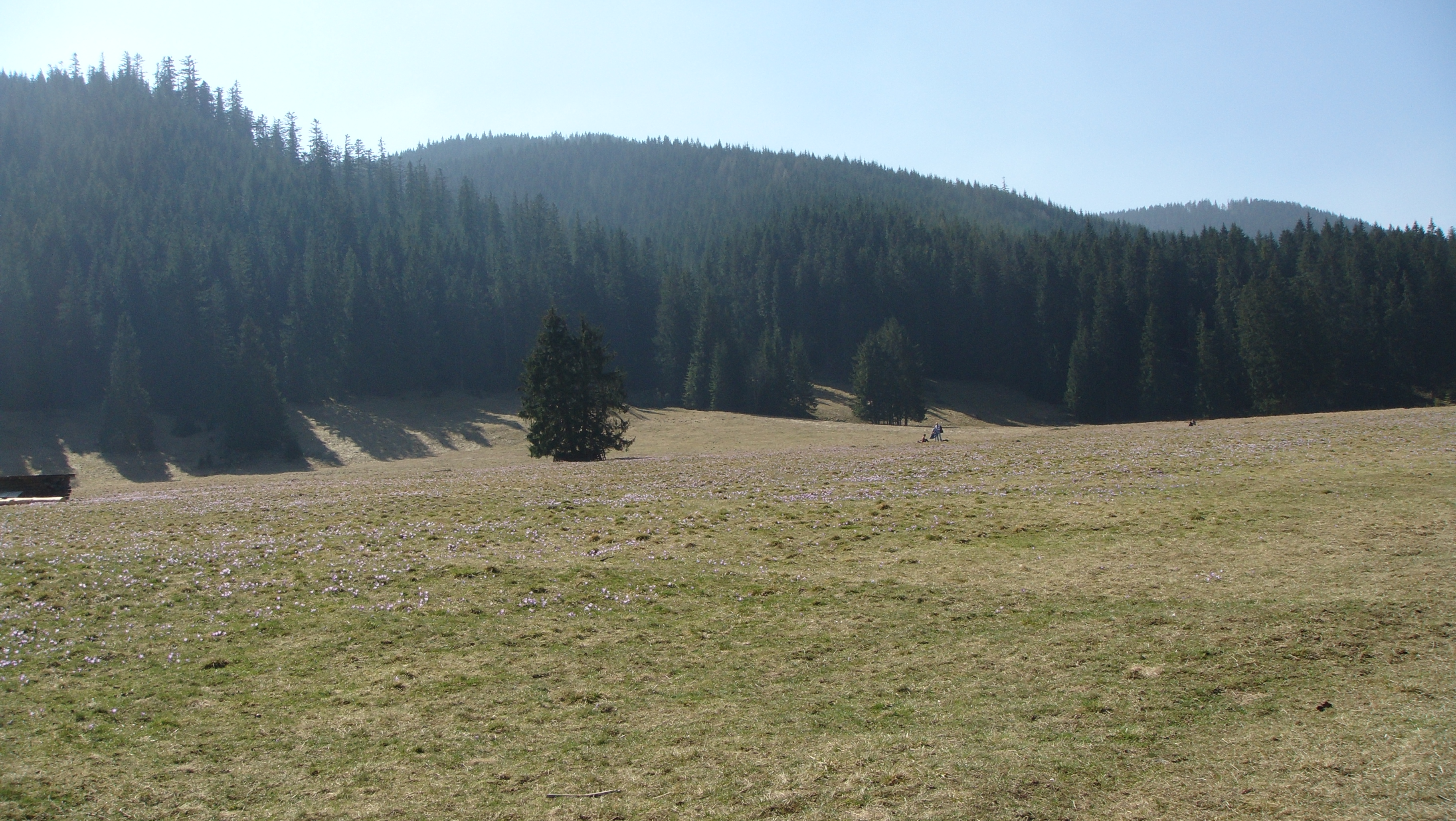 Witów photo 3