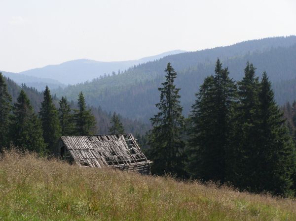 Turbacz photo 4
