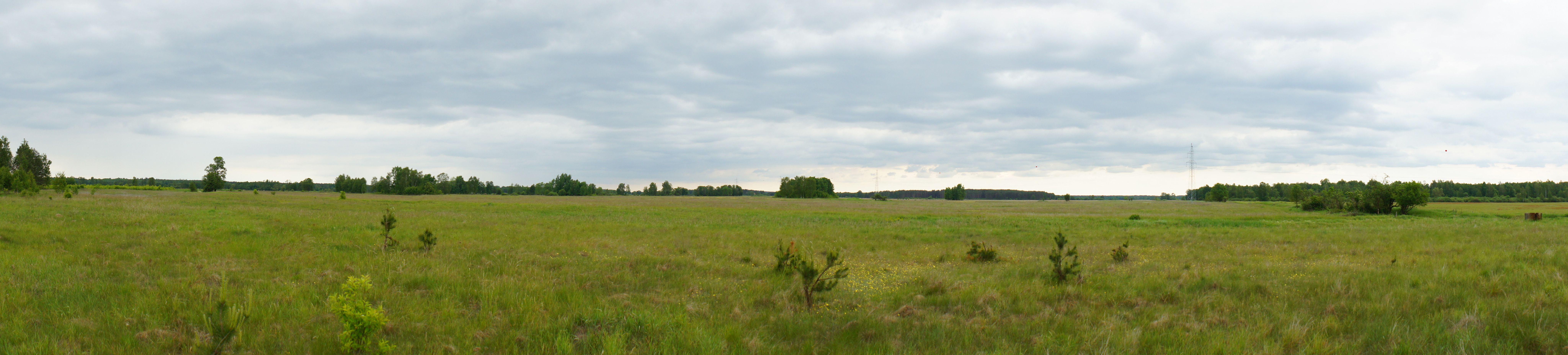Wielbark photo 4
