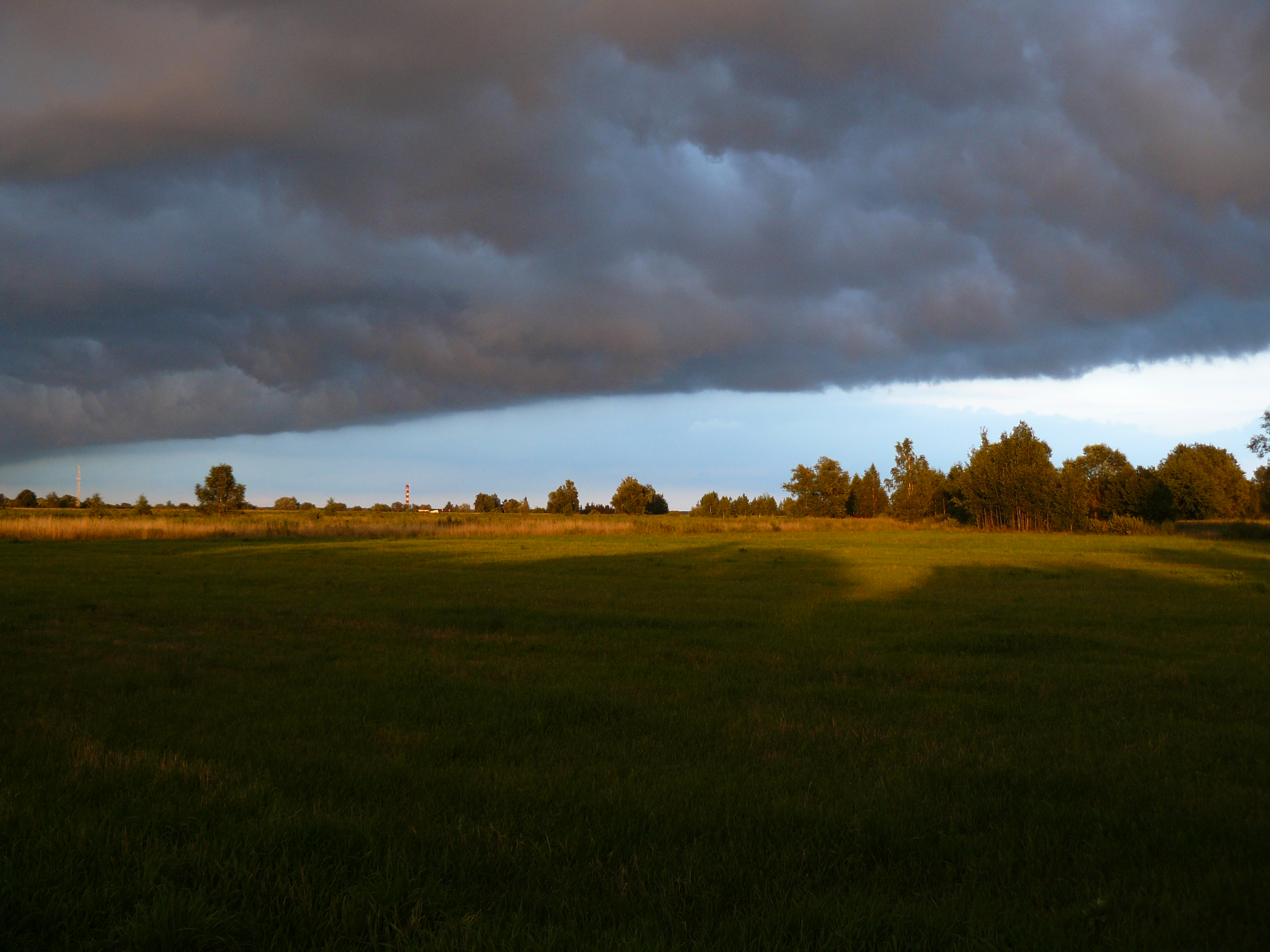 Piaseczno photo 4
