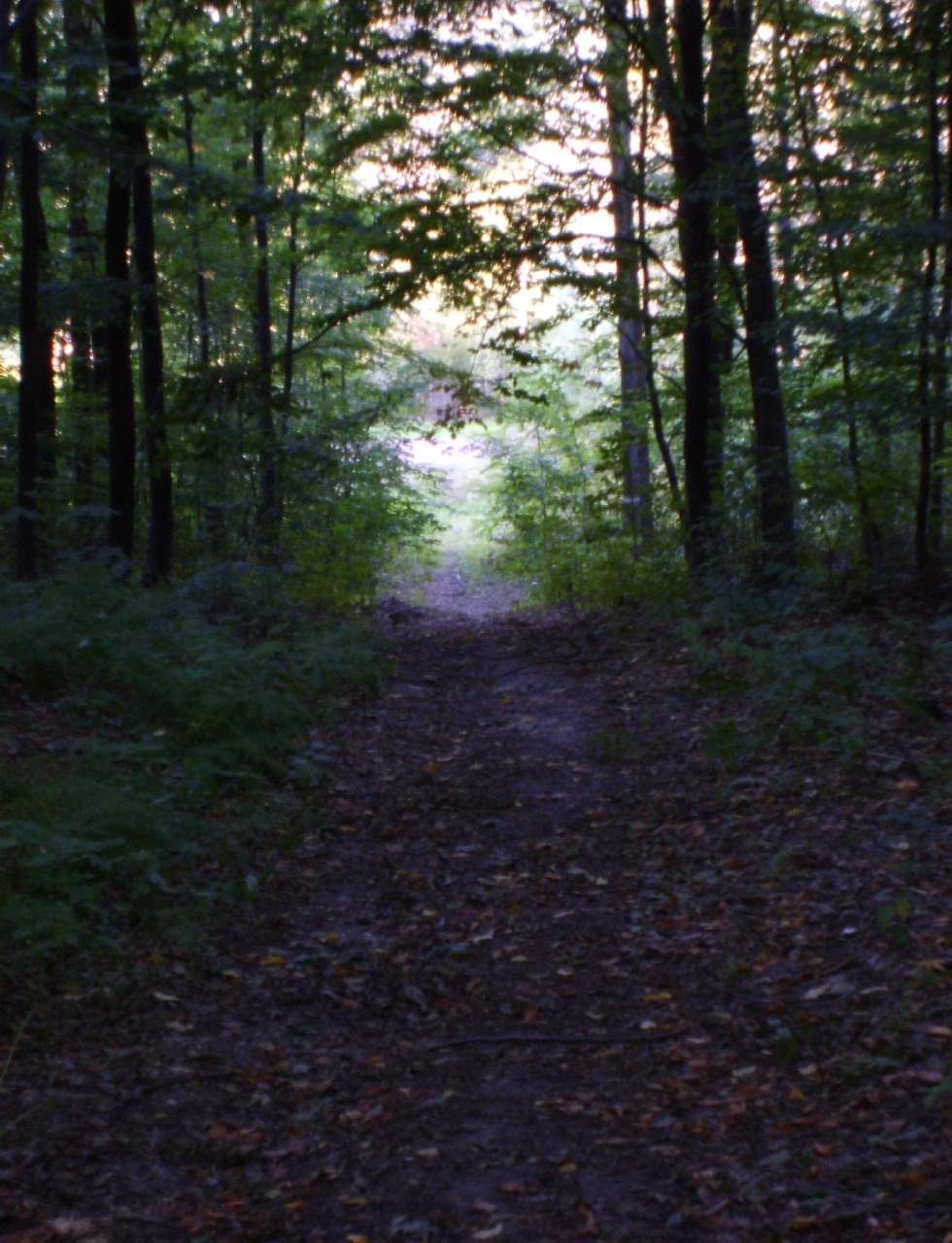 Słomniki photo 2