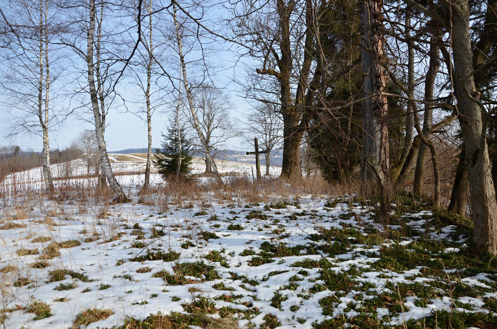 Zagórz photo 3