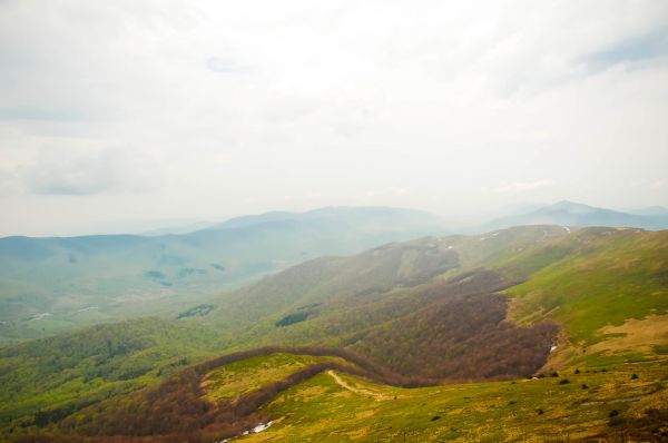 Tarnica photo 3