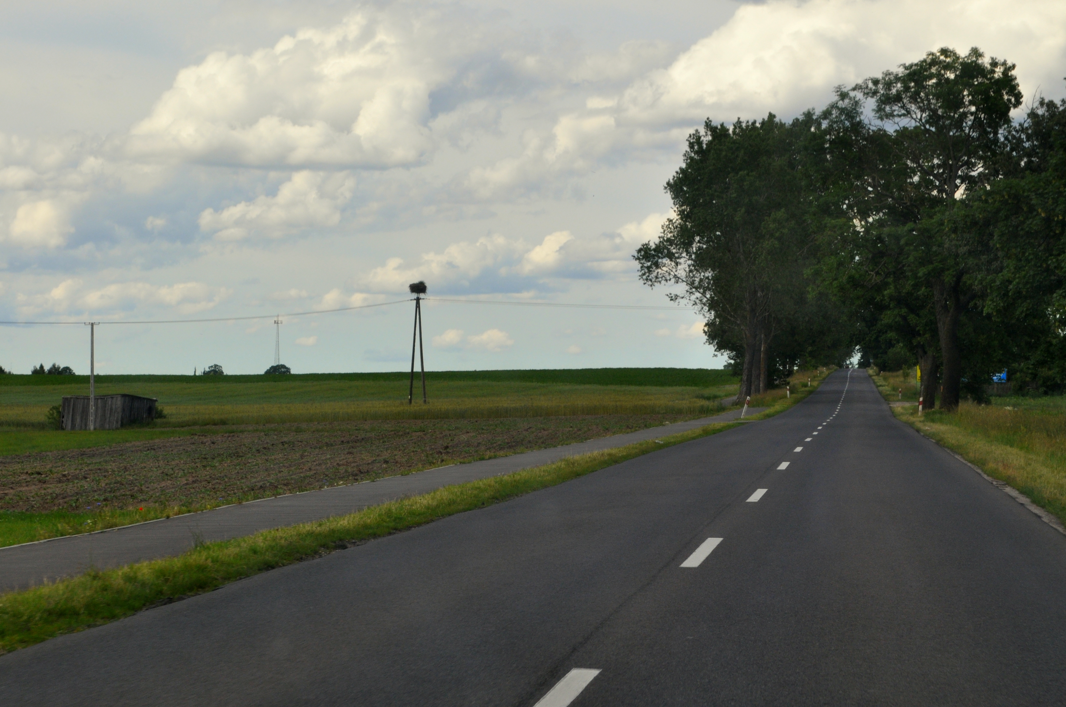 Żabno photo 2