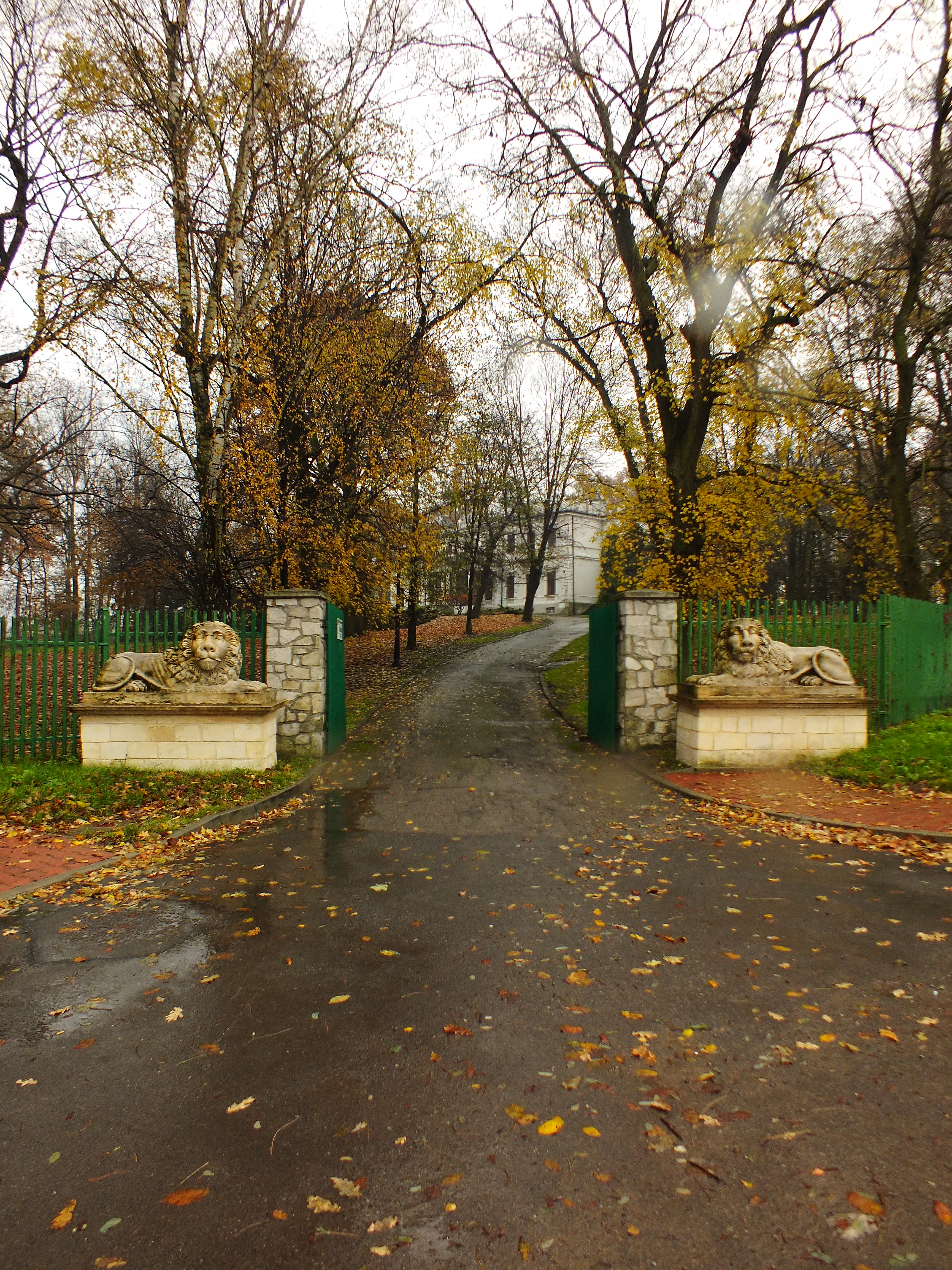 Ostrowiec Świętokrzyski photo 4