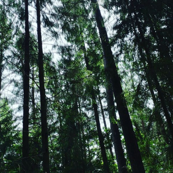 Węgorzewo photo 4