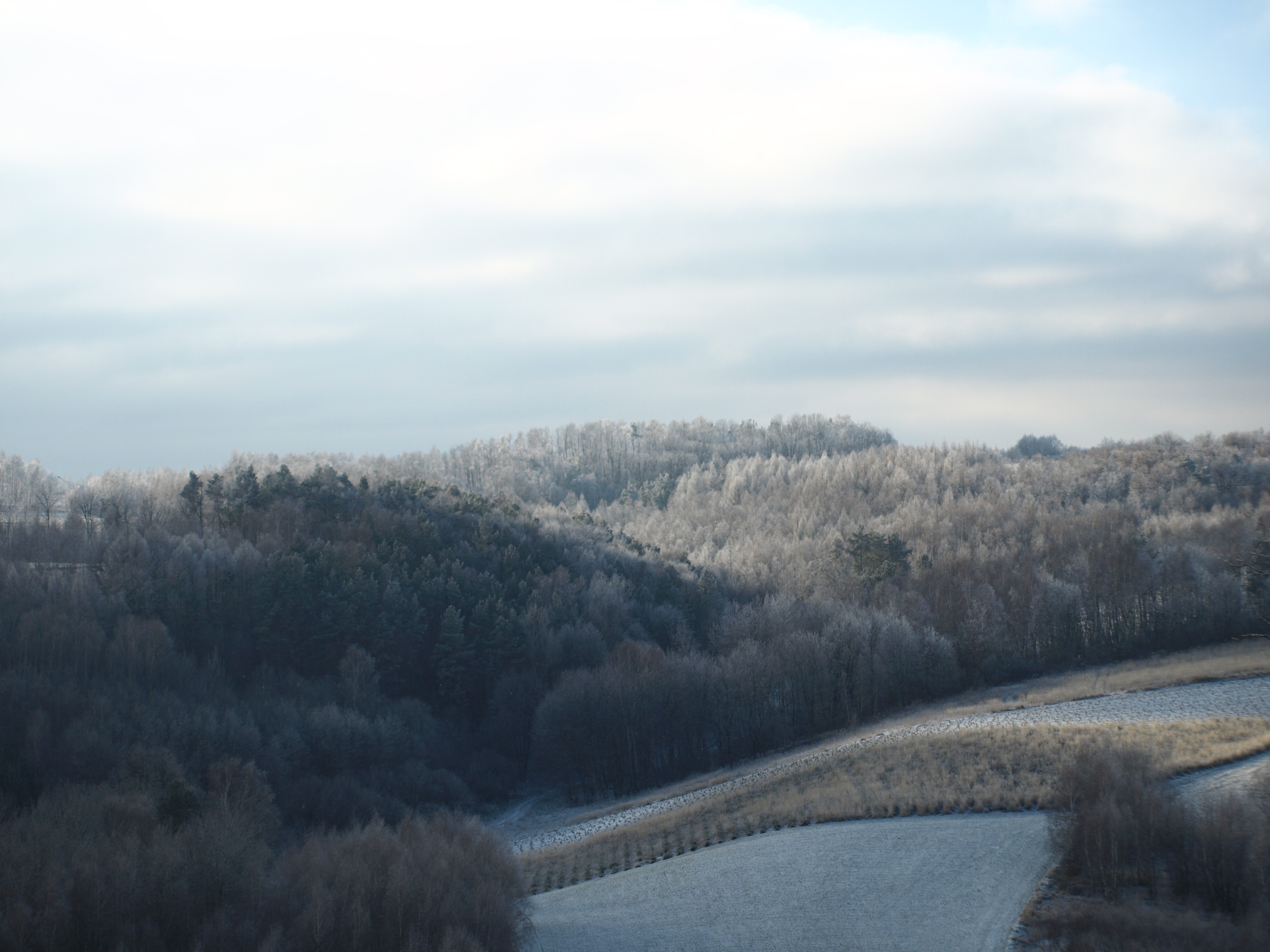 Tomaszów Lubelski photo 3