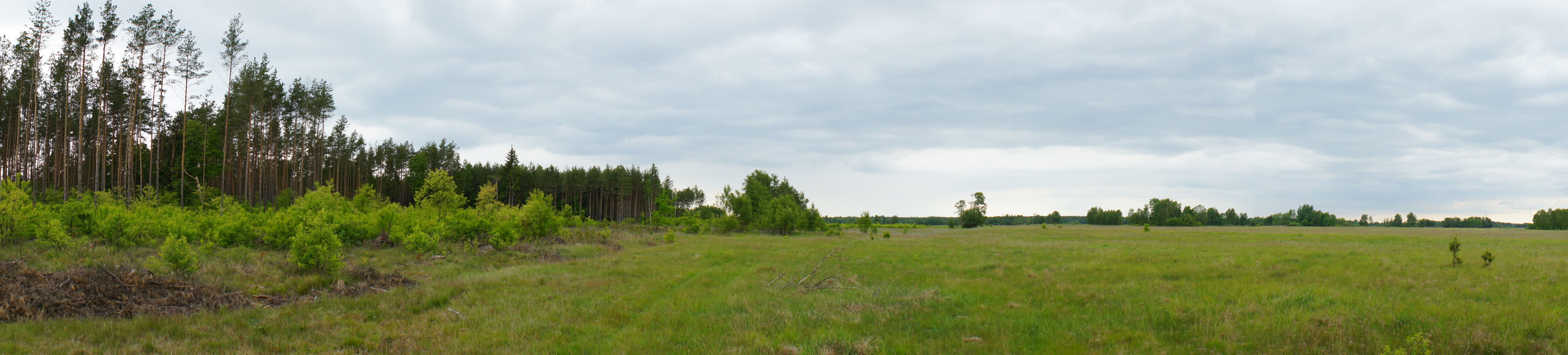 Wielbark photo 3