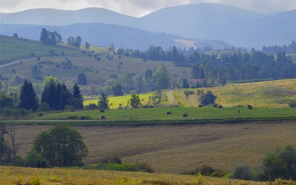 Radoszyce, Swietokrzyskie