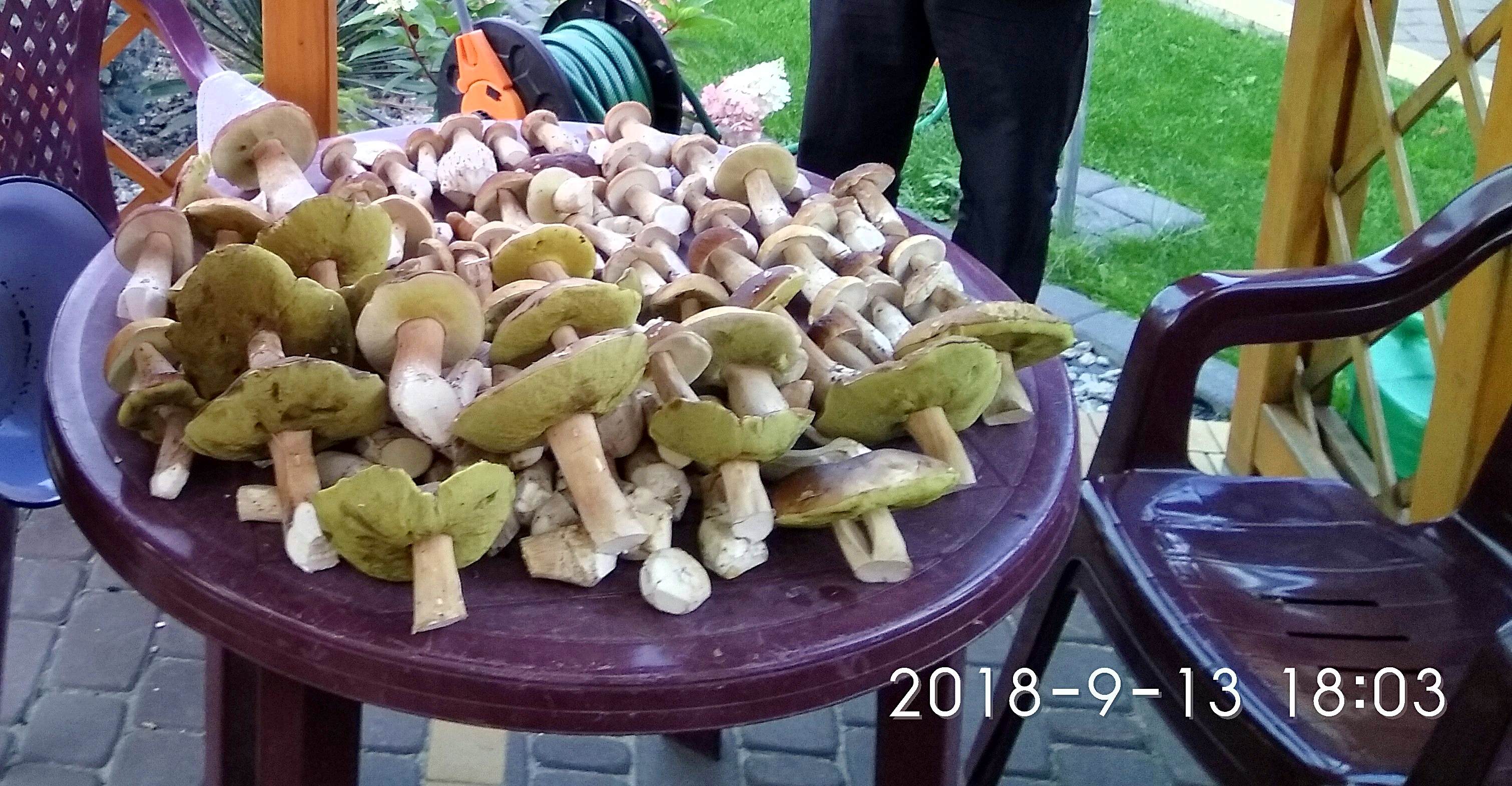 Supraśl, Podlasie