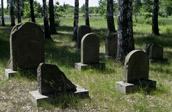 Żołynia photo 3