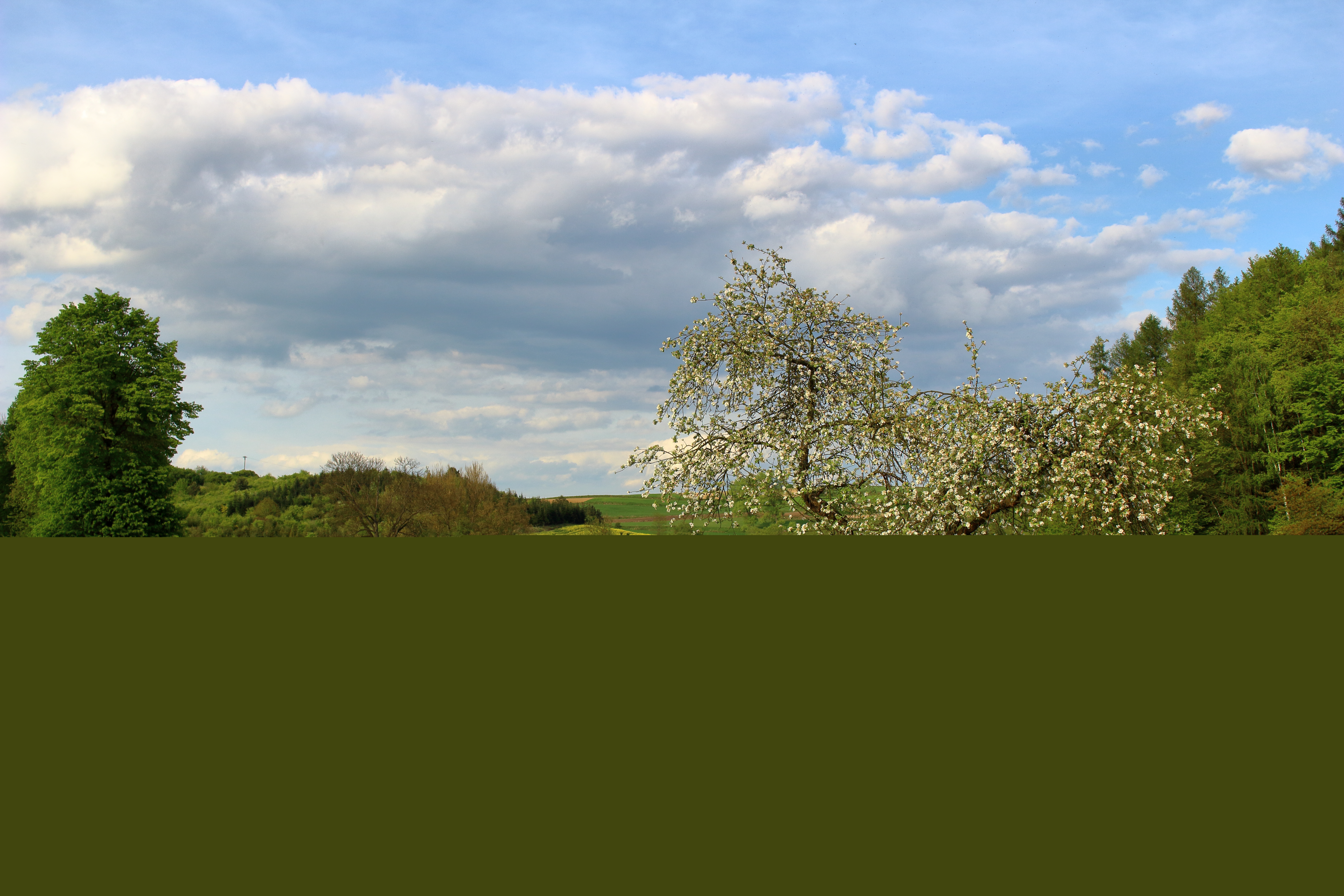 Zamczysko photo 3