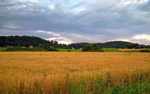 Pustki, Lesser Poland