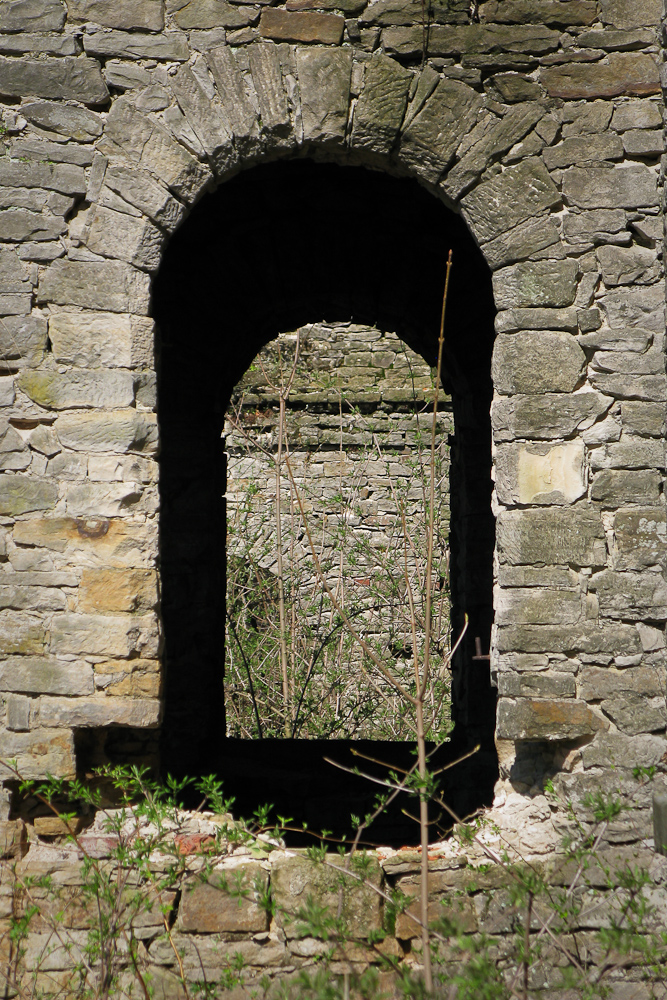 Wąchock photo 3