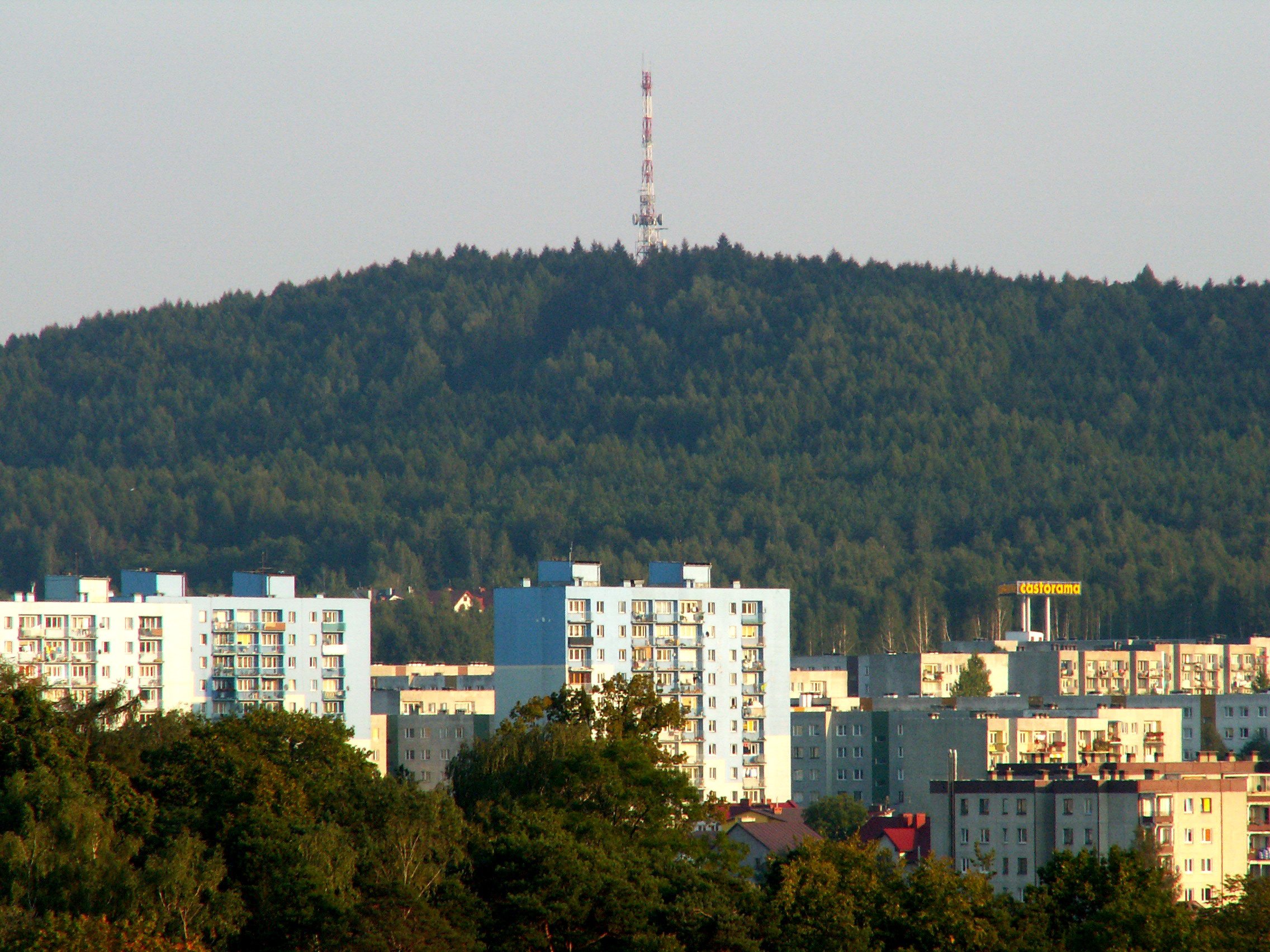 Telegraf photo 2
