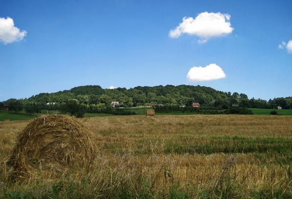 Pustki photo 3
