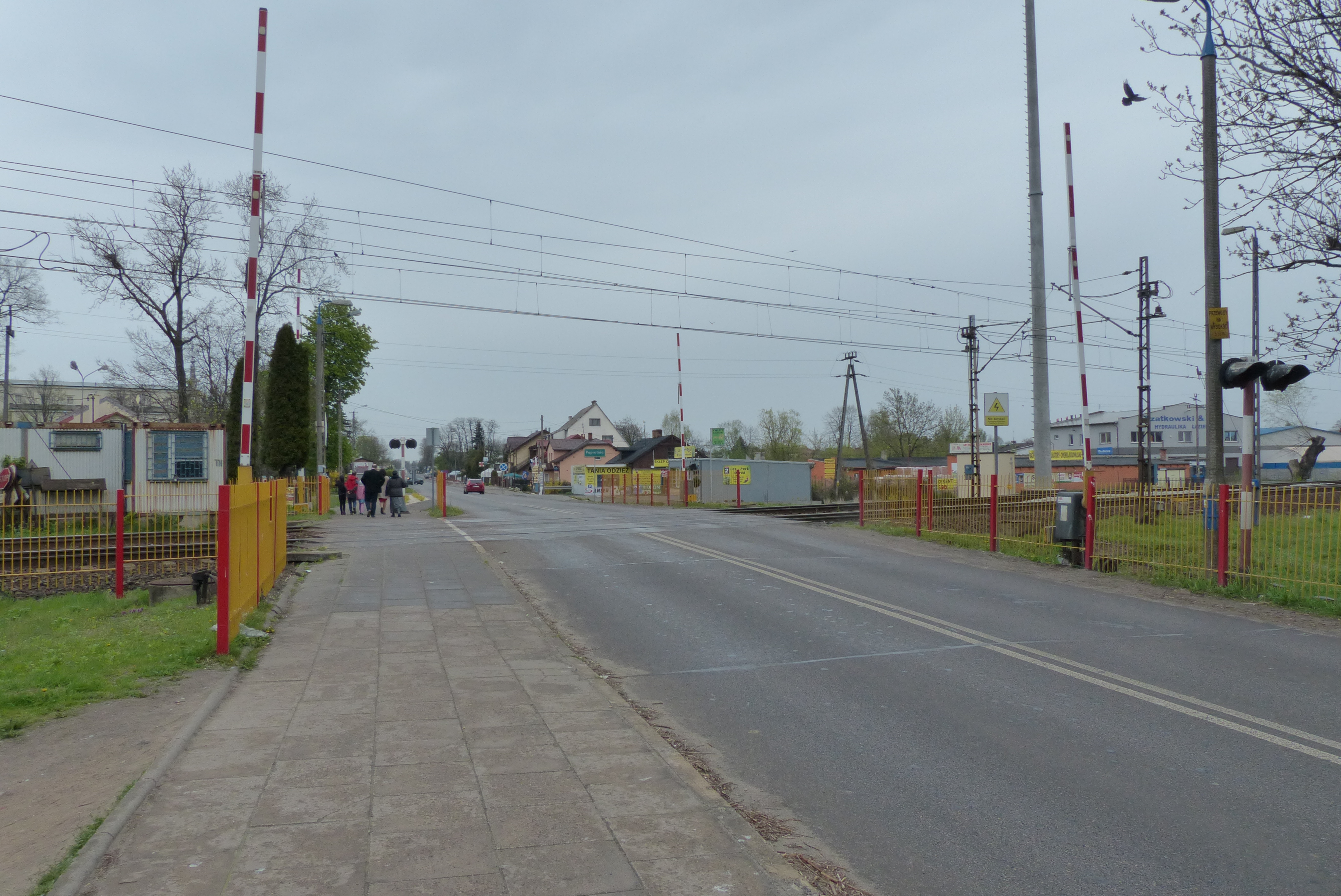 Teresin photo 4