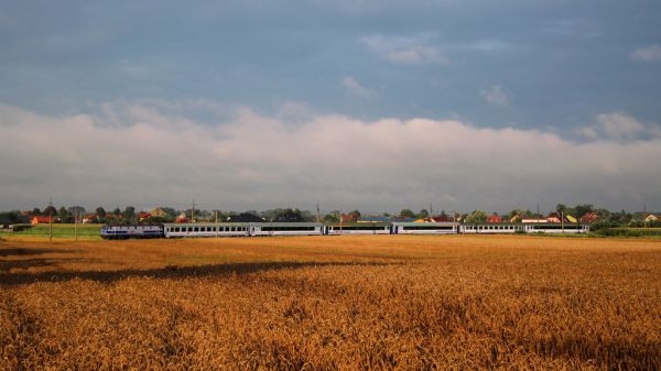 Wierzawice, Subcarpathia