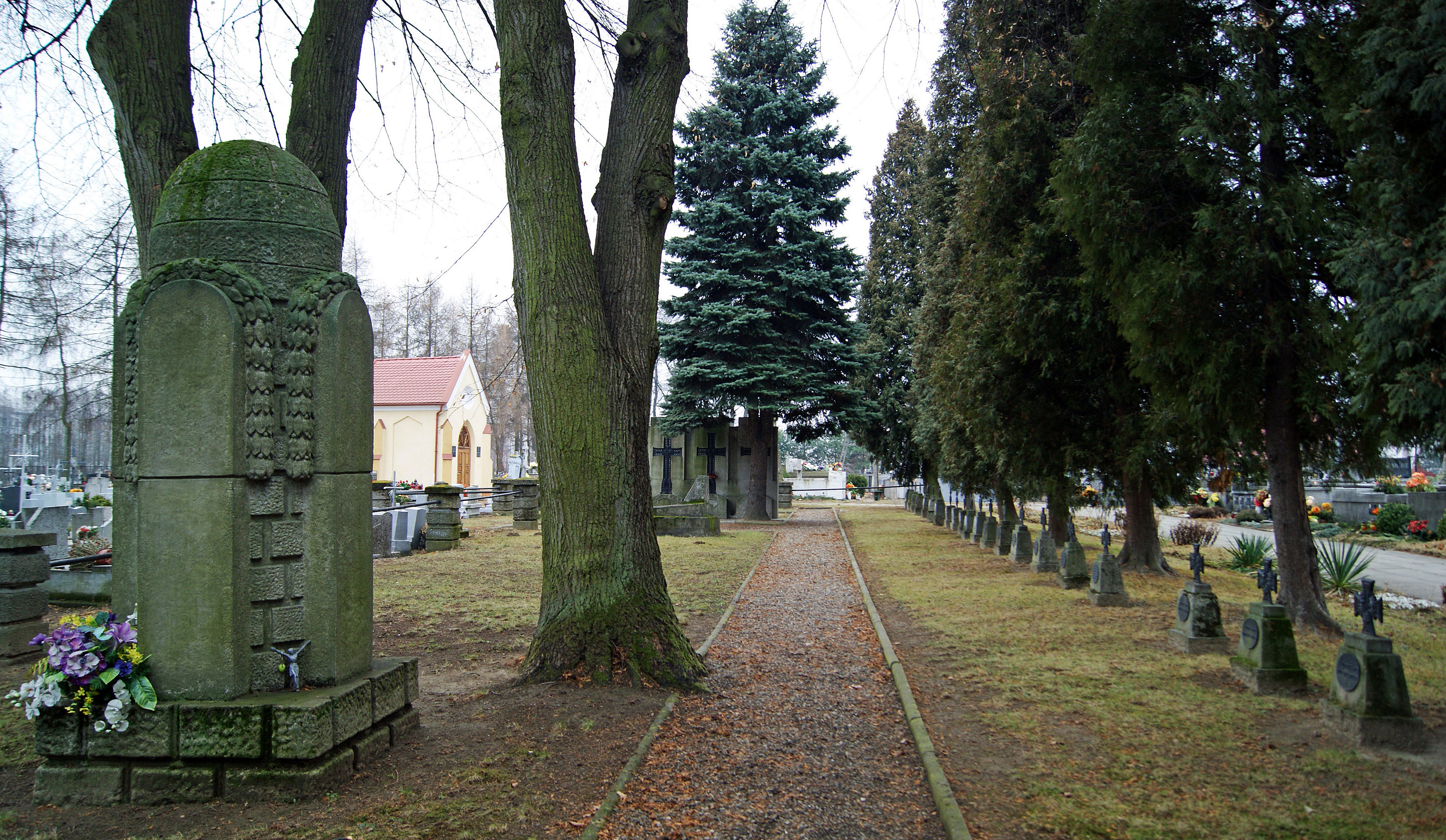 Wierzchosławice photo 3