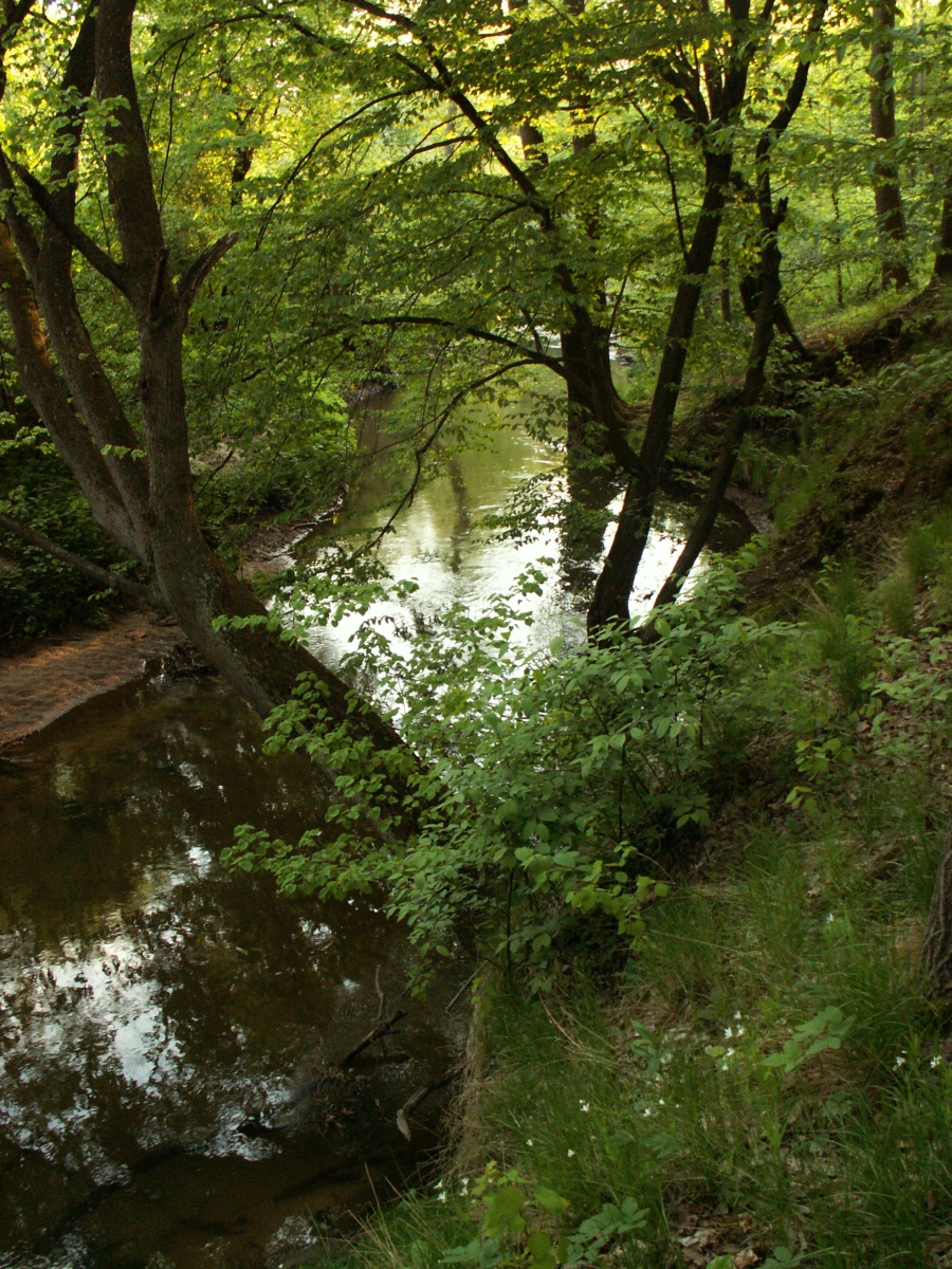 Zaklików photo 2
