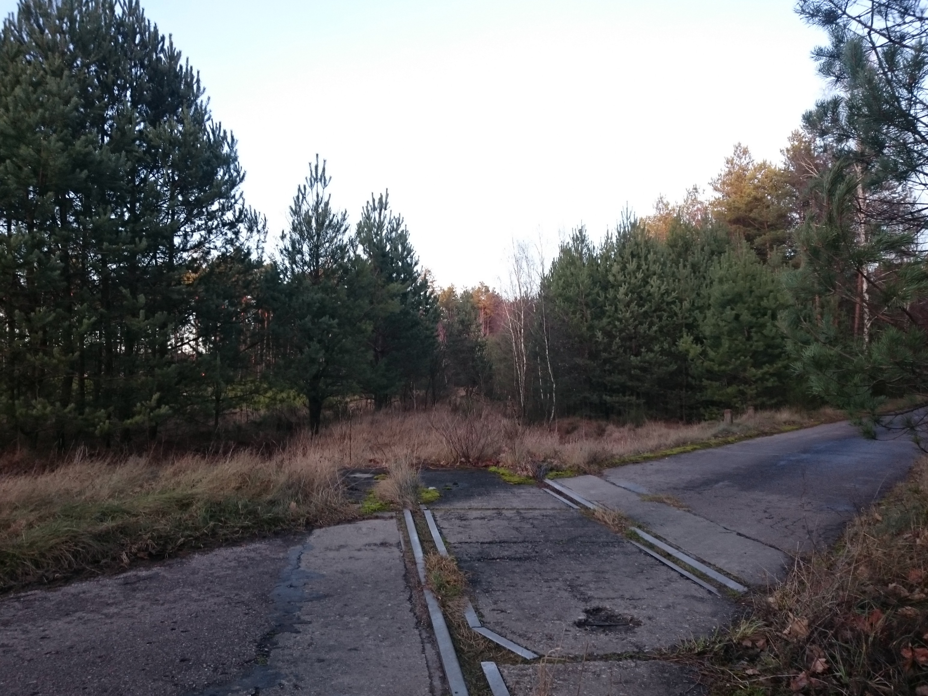 Zambrów photo 4