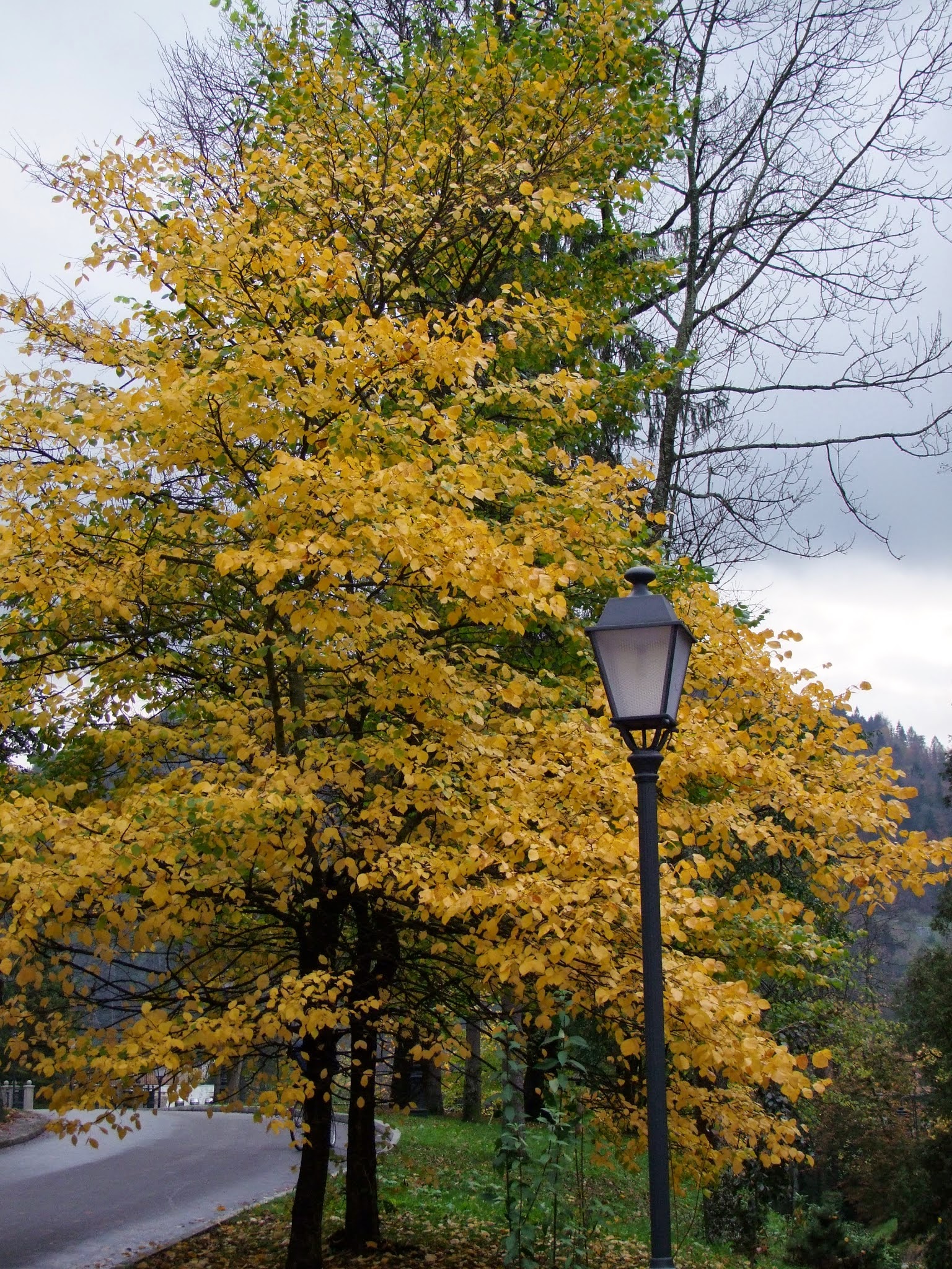 Szczawnica photo 3