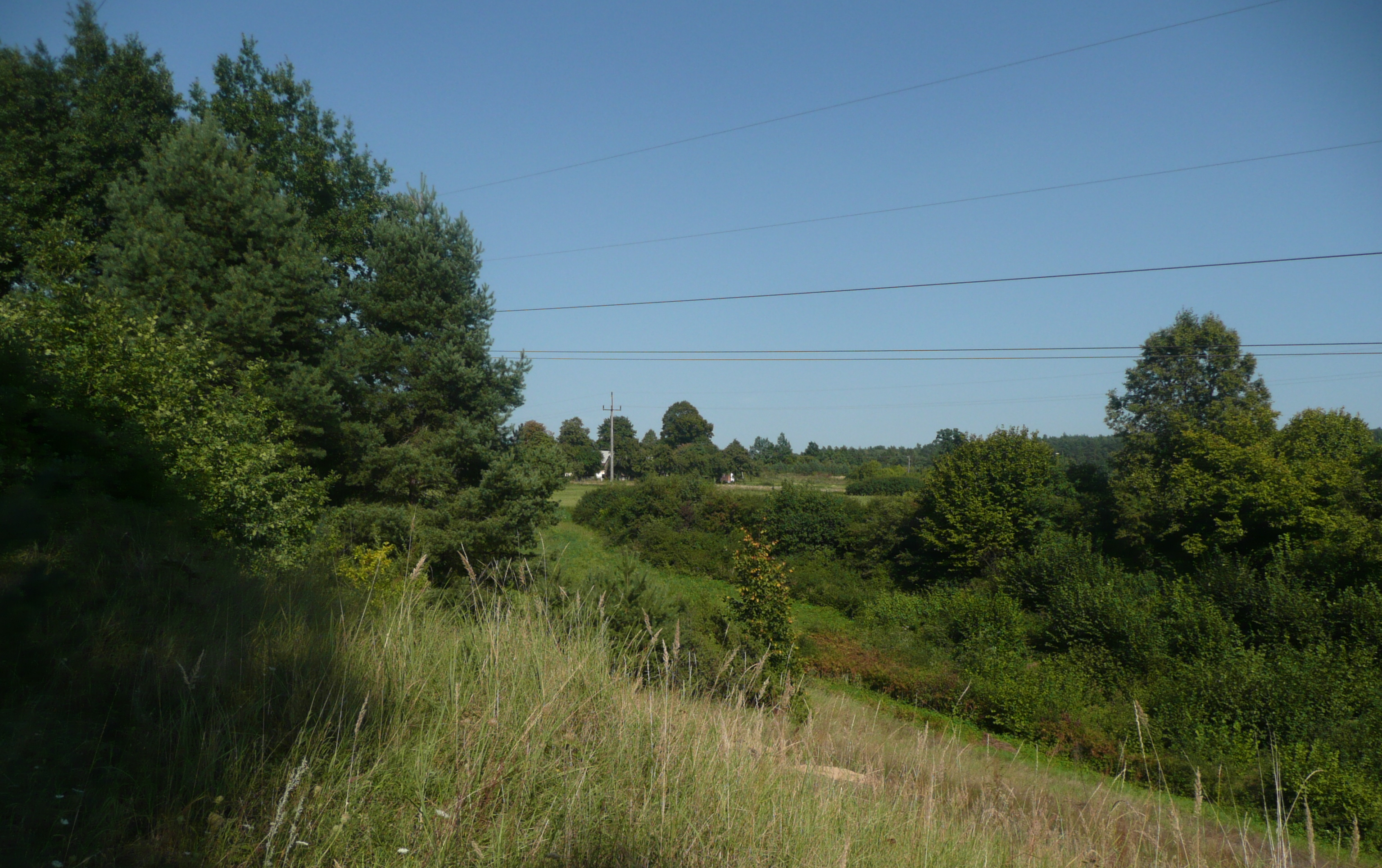 Piekoszów photo 4