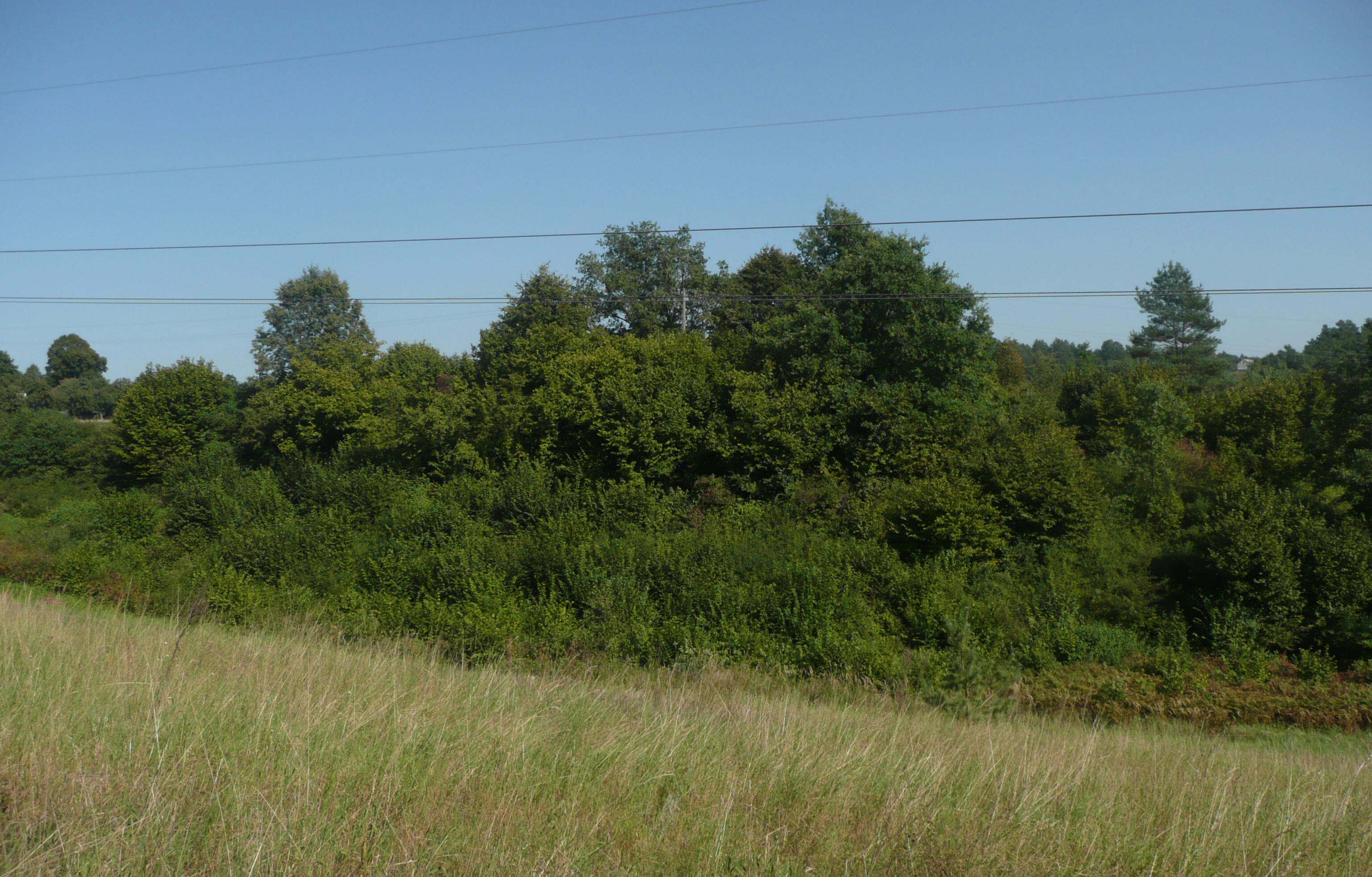 Piekoszów photo 3
