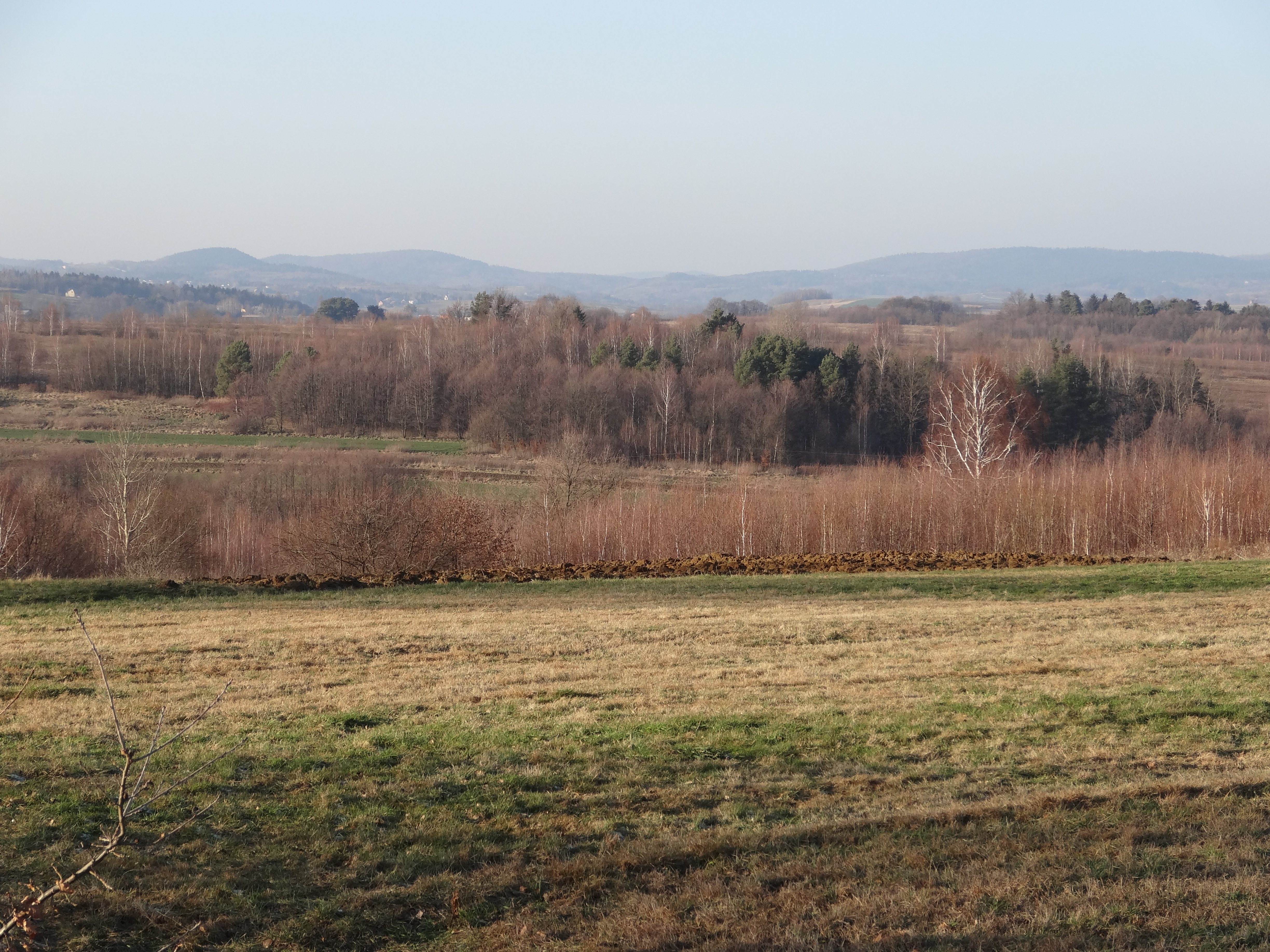 Stara Wieś photo 3