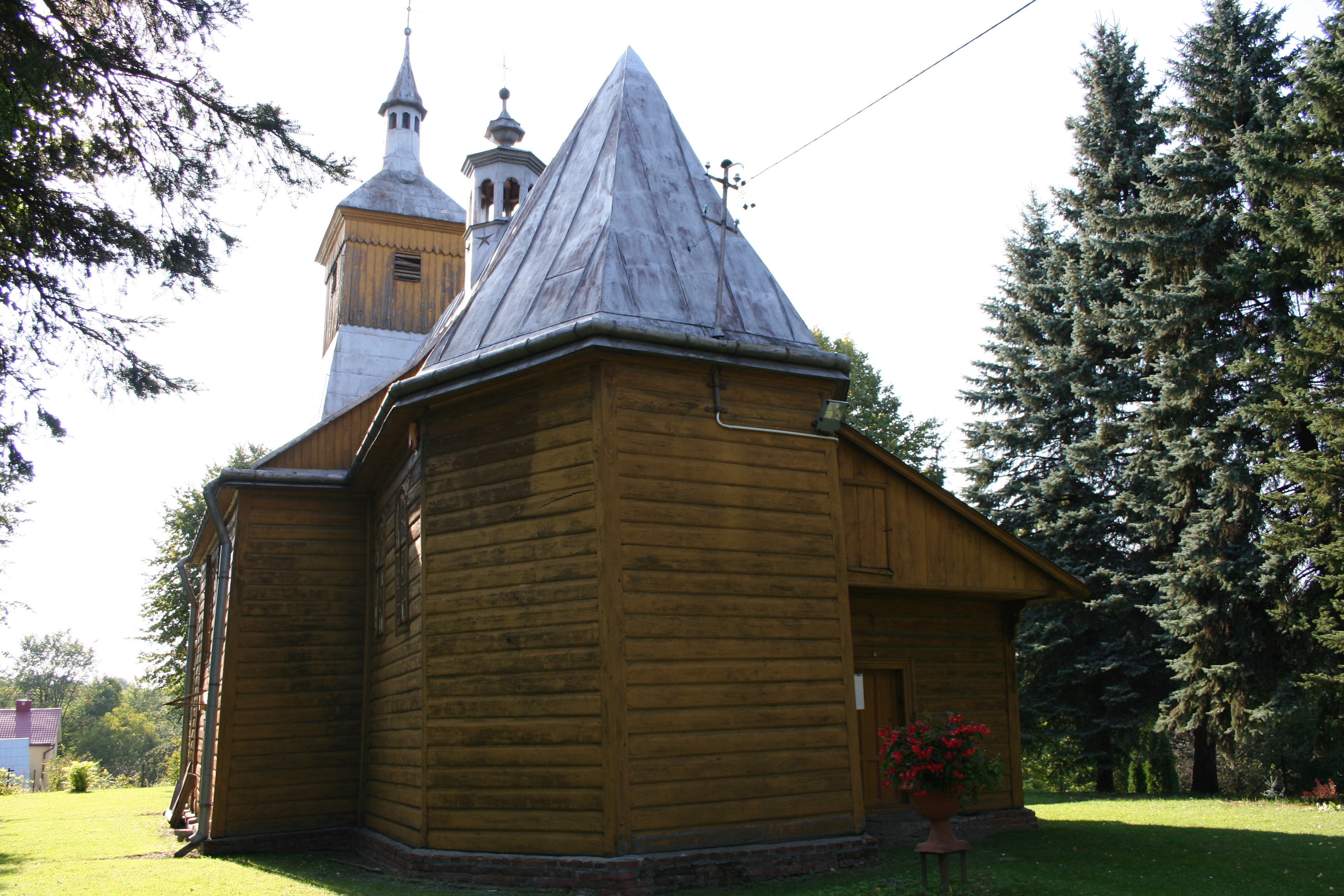 Sonina photo 2